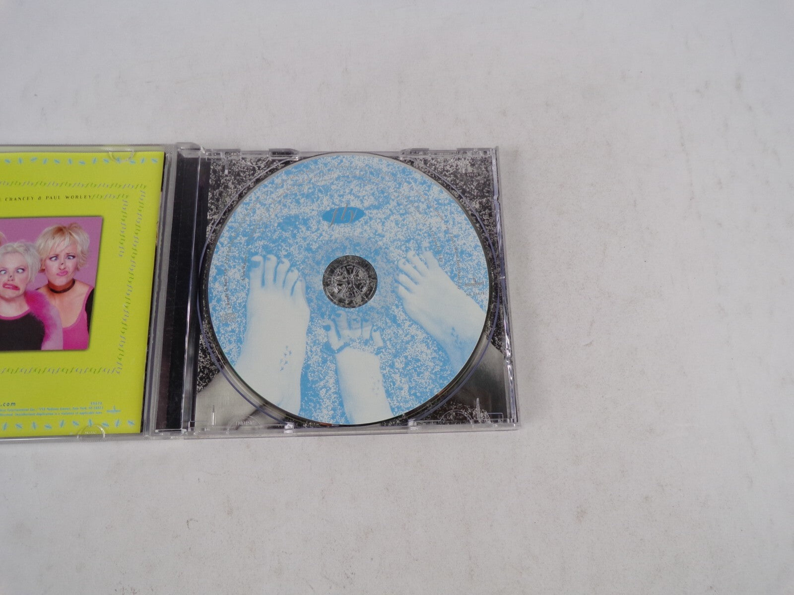 Fly Dixie Chicks Ready To Run If I Fall You're Going Down With Me Cowboy CD#34