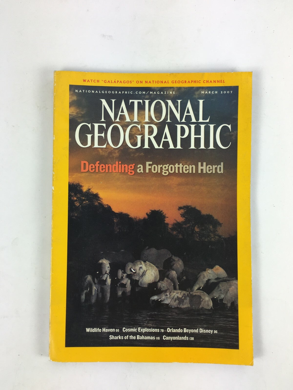 March 2007 National Geographic Magazine Defending a Forgotten Herd Canyonlands