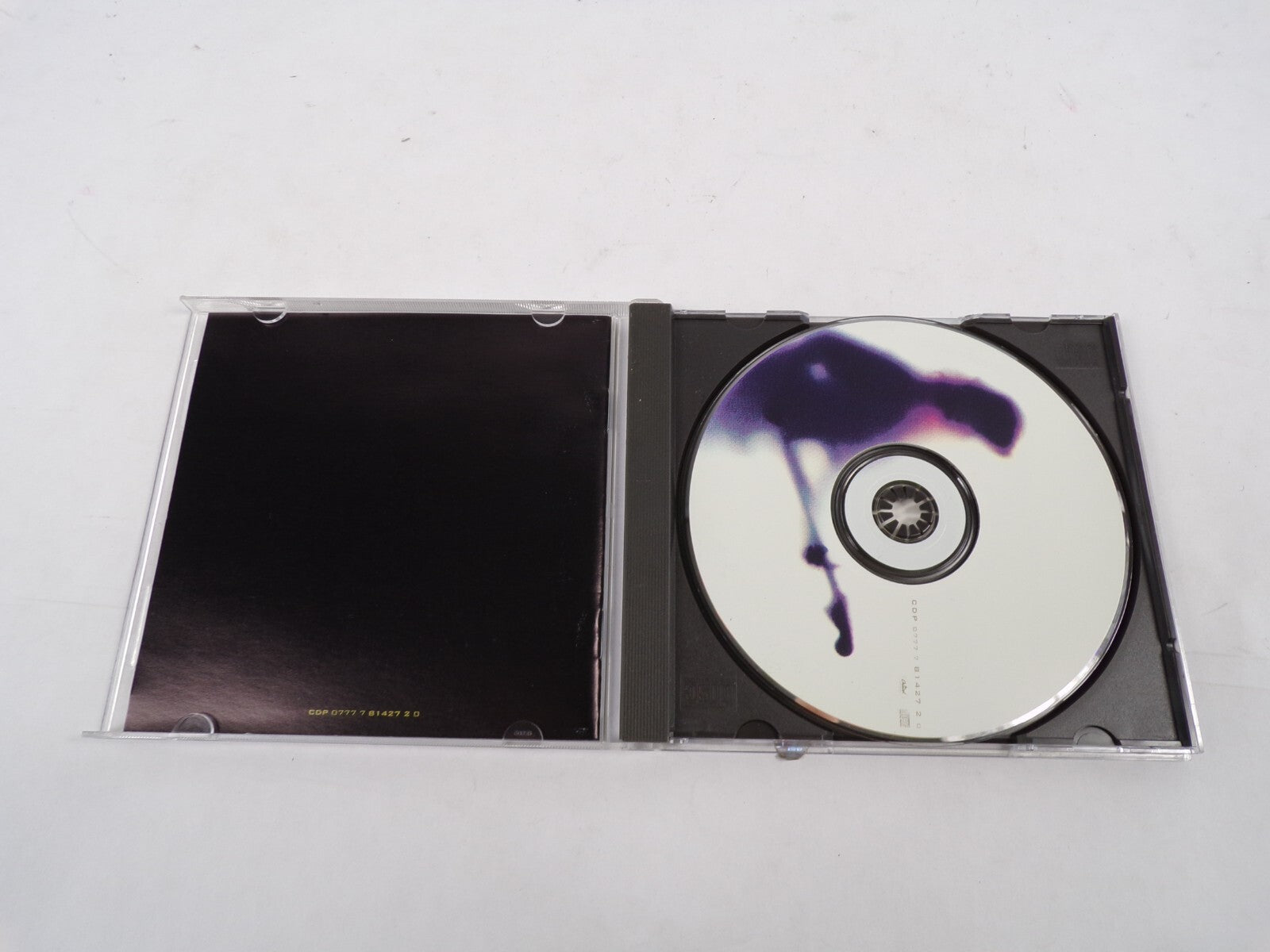 Bonnie Raiff Love Sneakin Up On You Longing In Their Hearts You Cool Clear CD#30