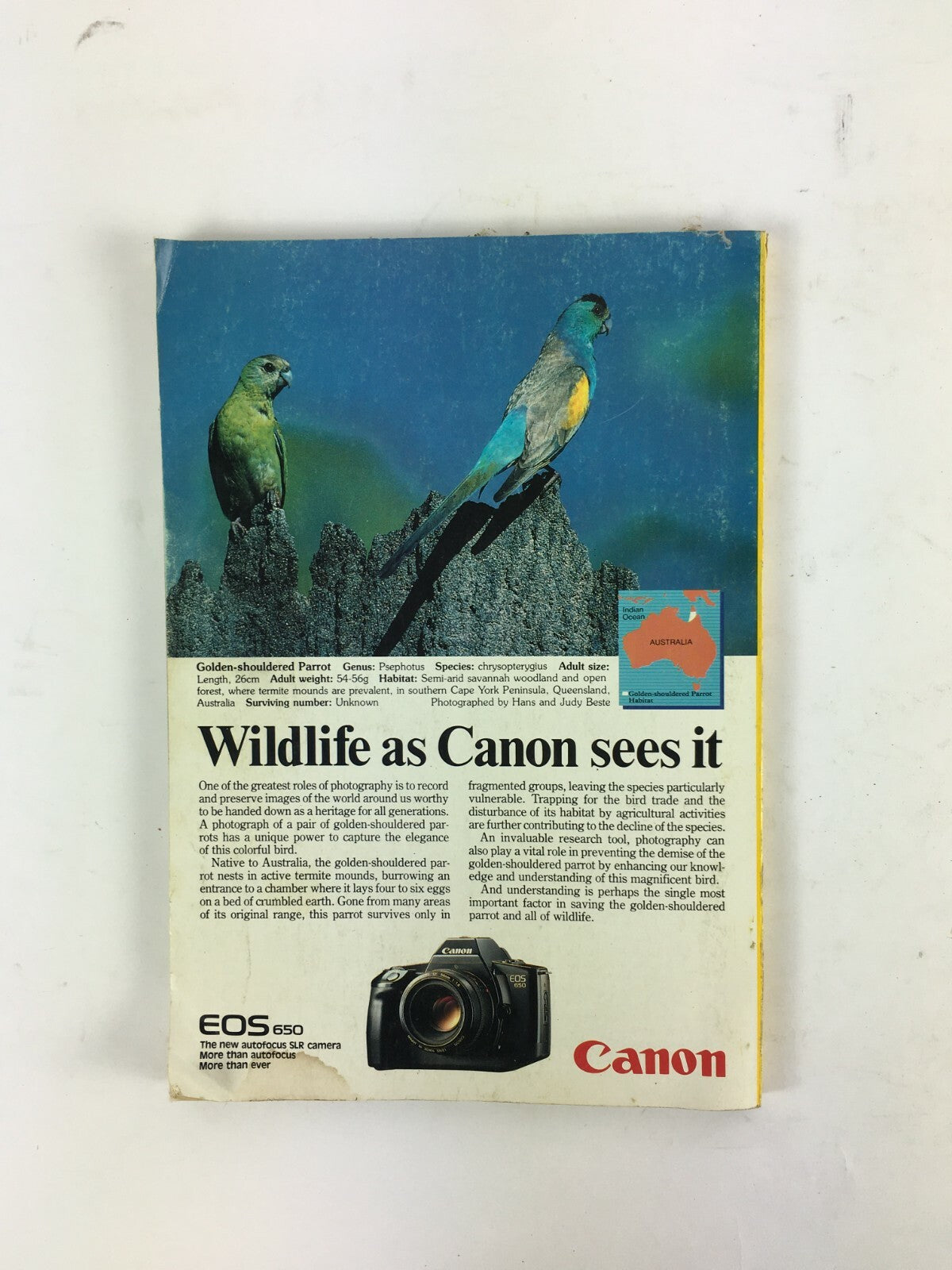 April 1987 National Geographic Magazine Seals and Their Kin The High Andes