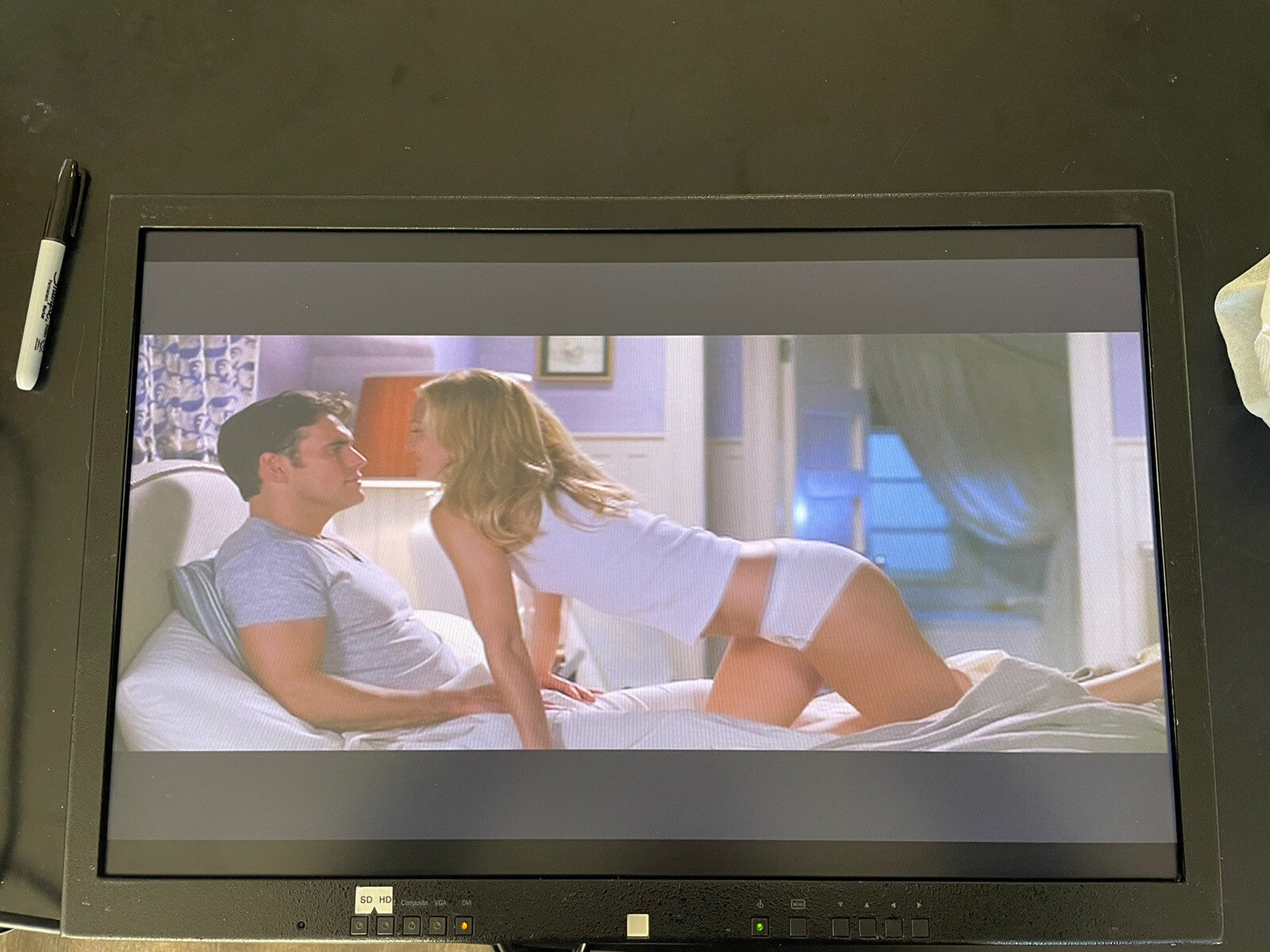 Boland ViewPort 24" Model HD24 1920 x 1200 MultiSync Video Monitor HFDTV w POWER