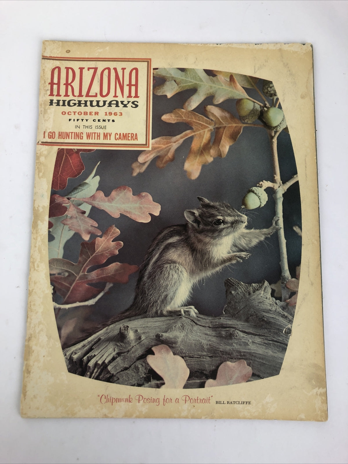 Arizona Highways Magazine : I Go Hunting with my Camera - October 1963 - LOOK