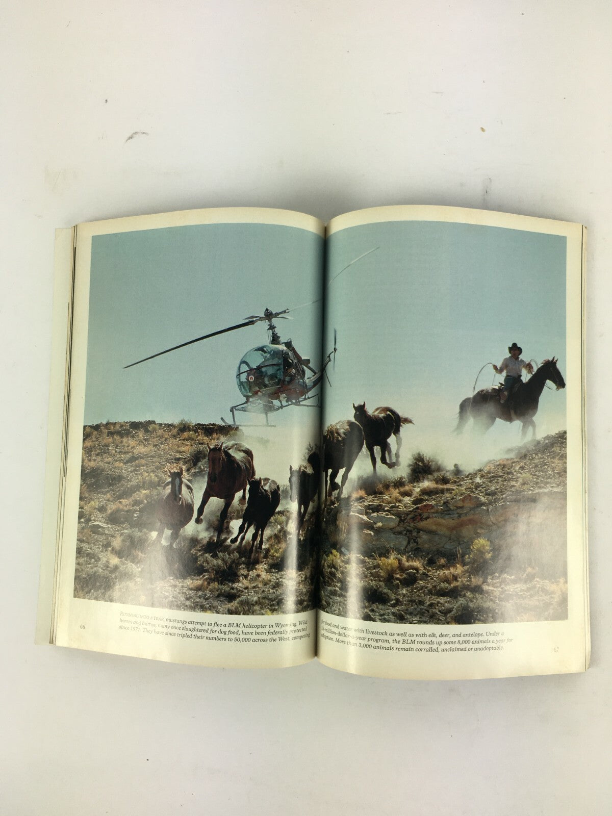 January 1989 NationalGeographic Magazine Ballet with Stingrays Sagebrush Country