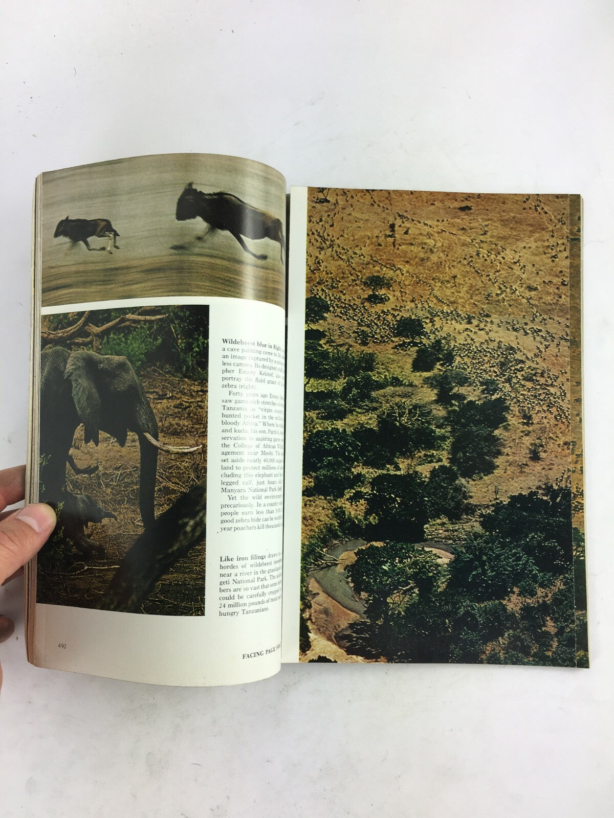 April 1975 National Geographic Magazine Diving Amid Sleeping Sharks Utahs Oasis