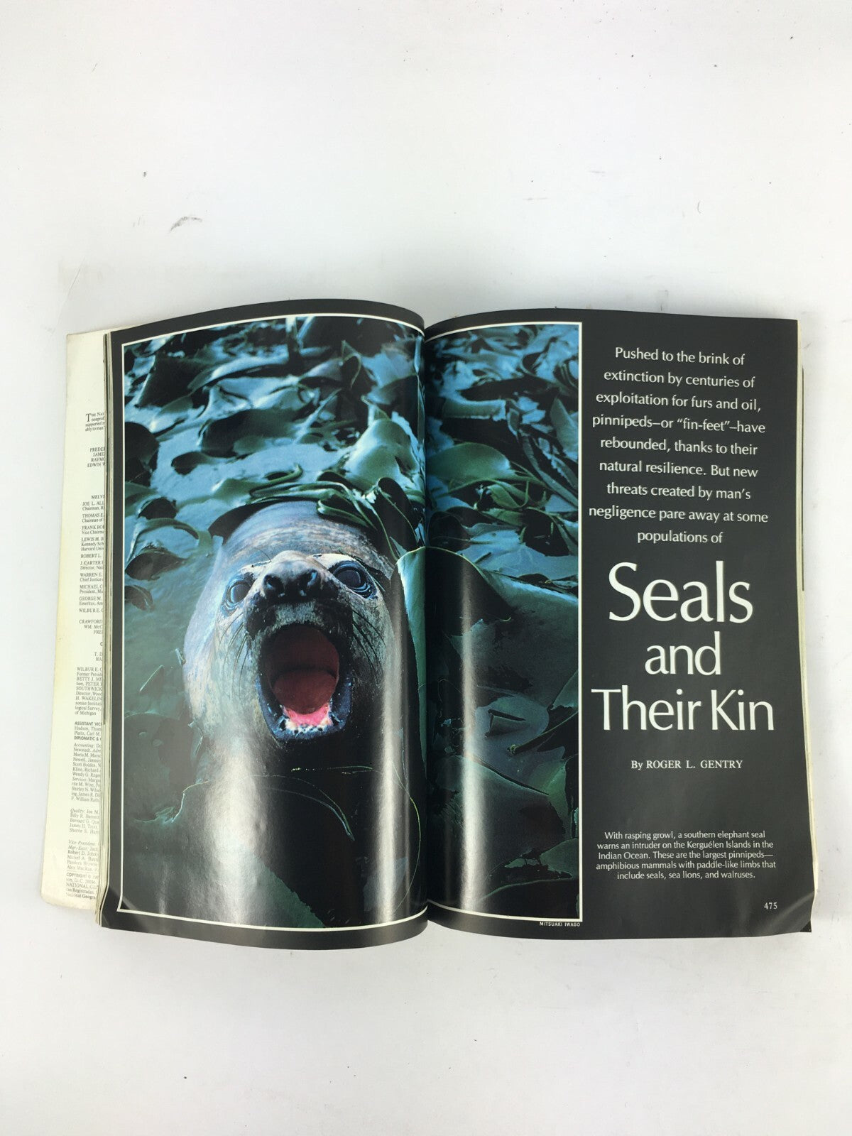 April 1987 National Geographic Magazine Seals and Their Kin The High Andes