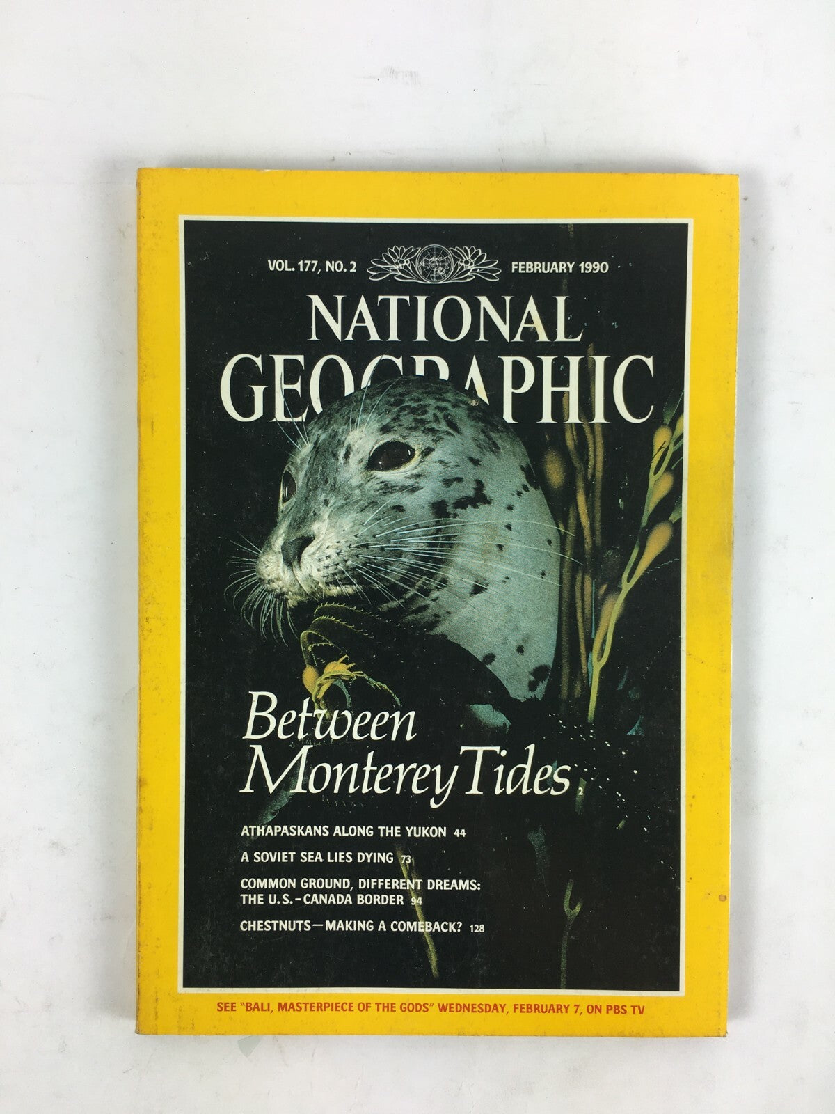February 1990 National Geographic Magazine Between Monterey Tides Soviet Sea