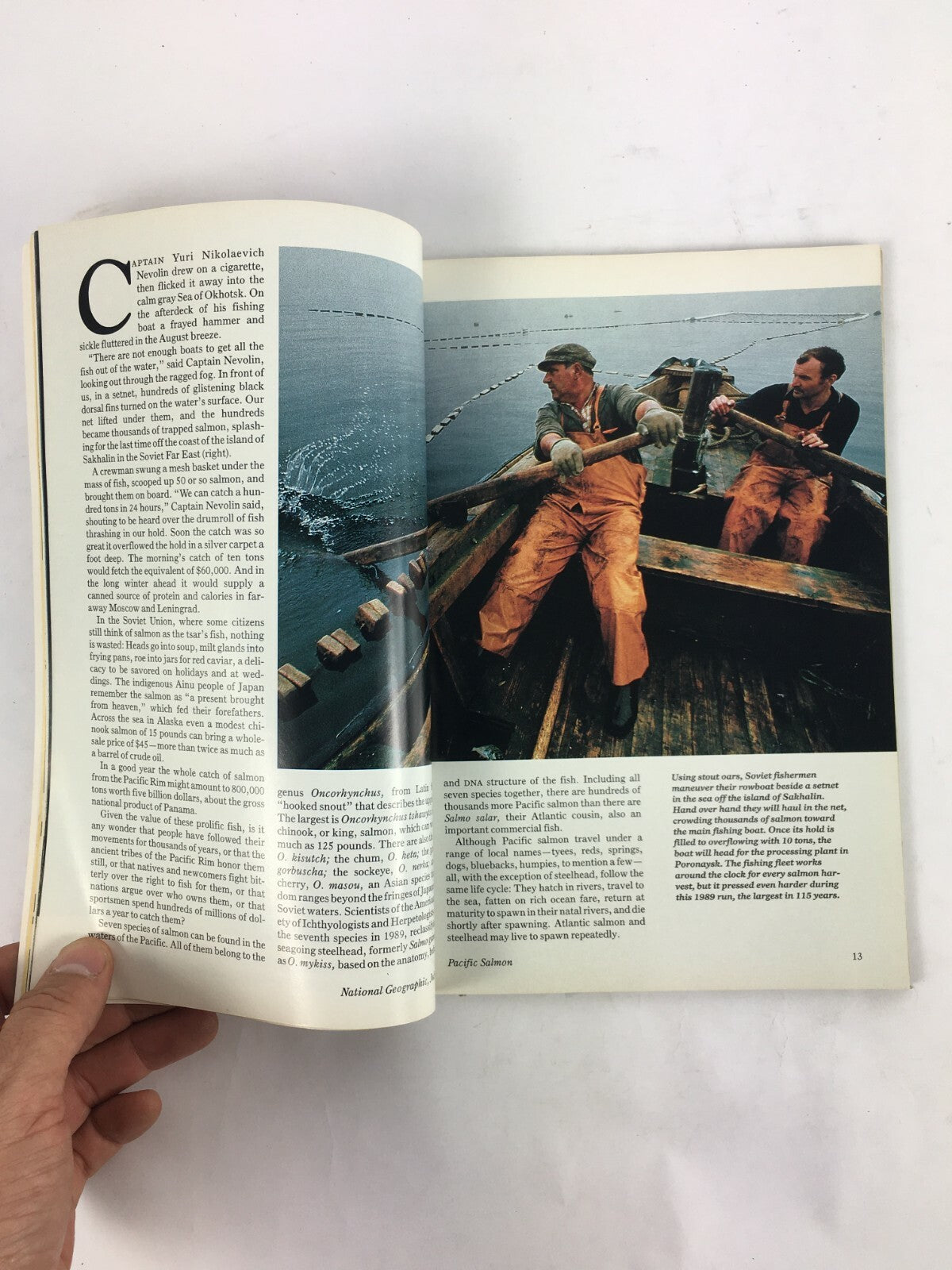 July 1990 National Geographic Magazine Florida Watershed Mystique of Emeralds