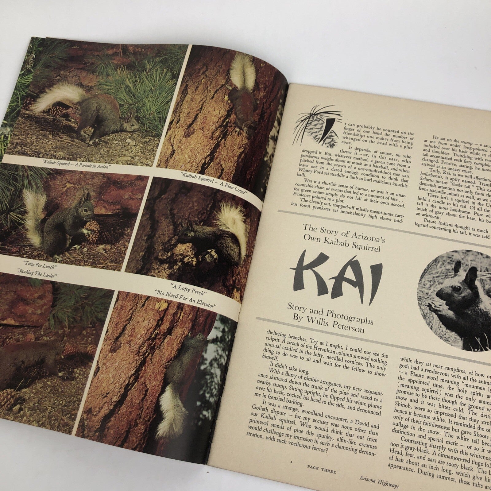 May 1965 Highways Magazine The Woolery Mineral Collection Vol. 41 No. 5 VGC