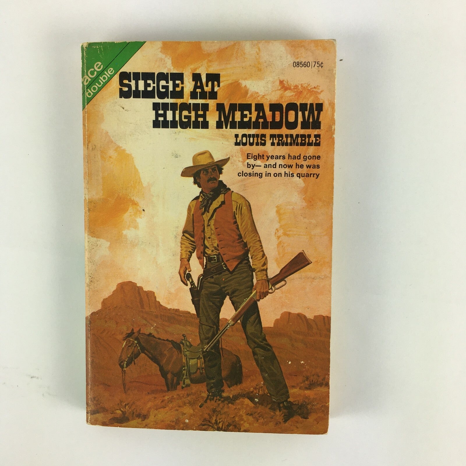 Siege at High Meadow Louis Trimble
