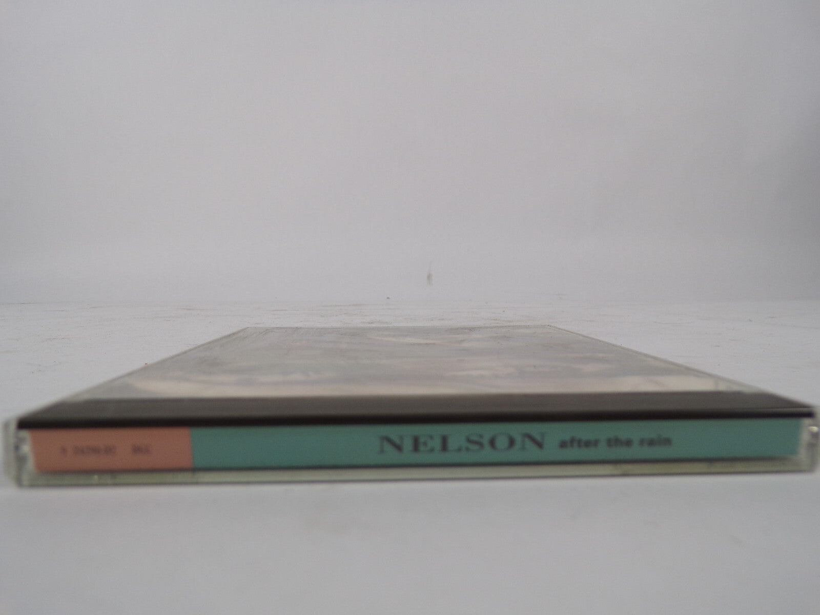 Nelson After The Rain I Can Hardly, Wait After The Rain Tracy's Song CD #40