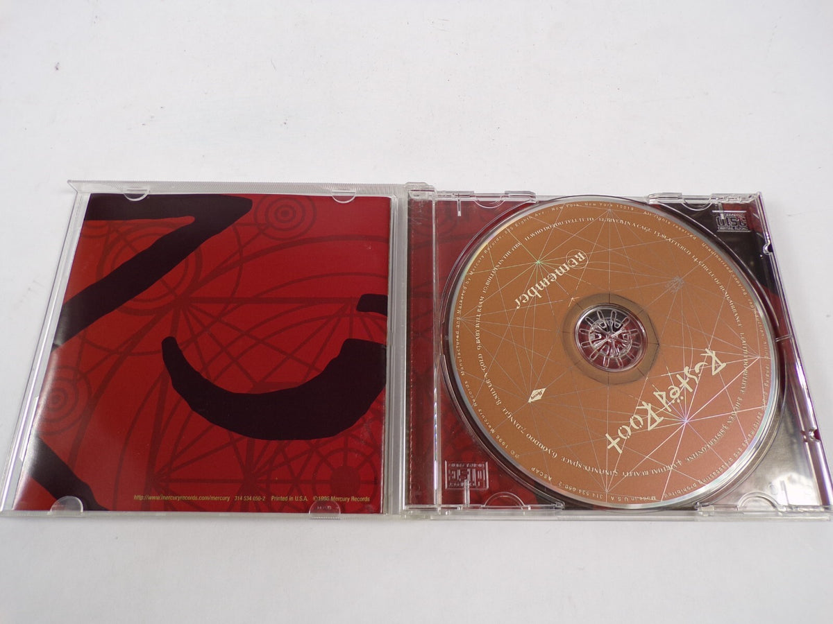 Rusted Root Remember Raith I Do Believe Sliver-n-Gold Heaven Scattered CD #40