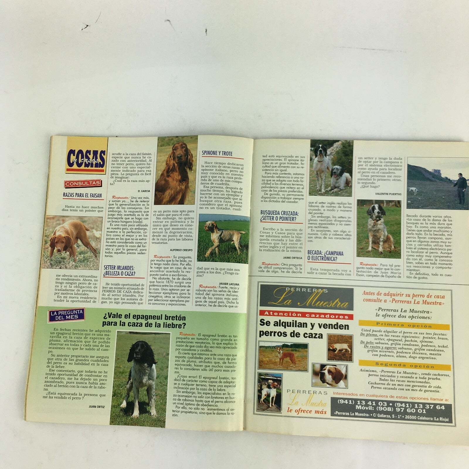 December 1997 Perros Magazine Braco Aleman Jagdterrier Cuestion De Caracter