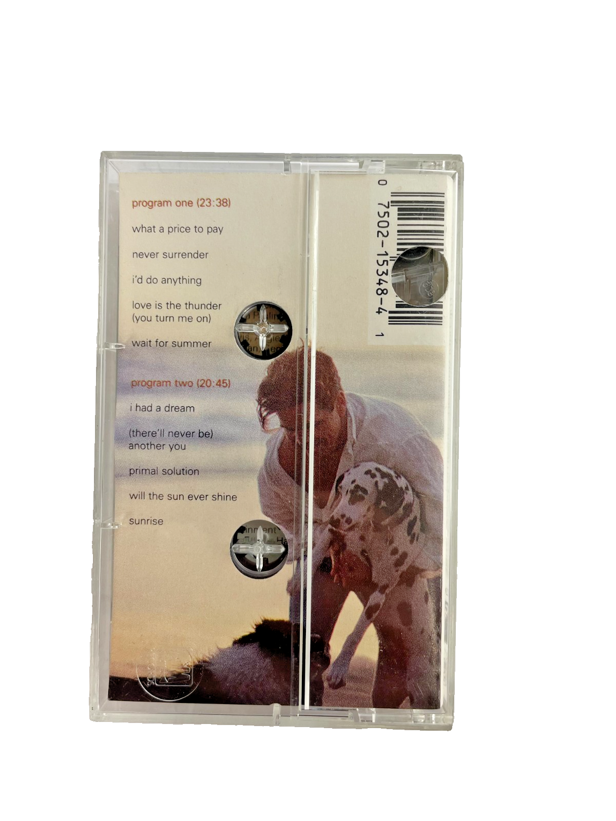 Michael Damian Dreams Of Summer What a Price to Pay Never Surrender #Cassette