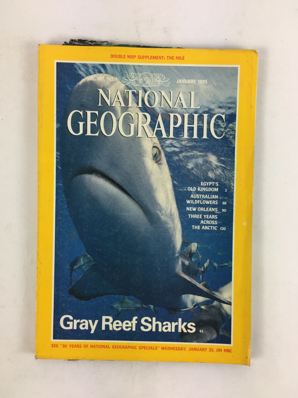 January 1995 National Geographic Magazine Gray Reef Sharks New Orleans TheArctic