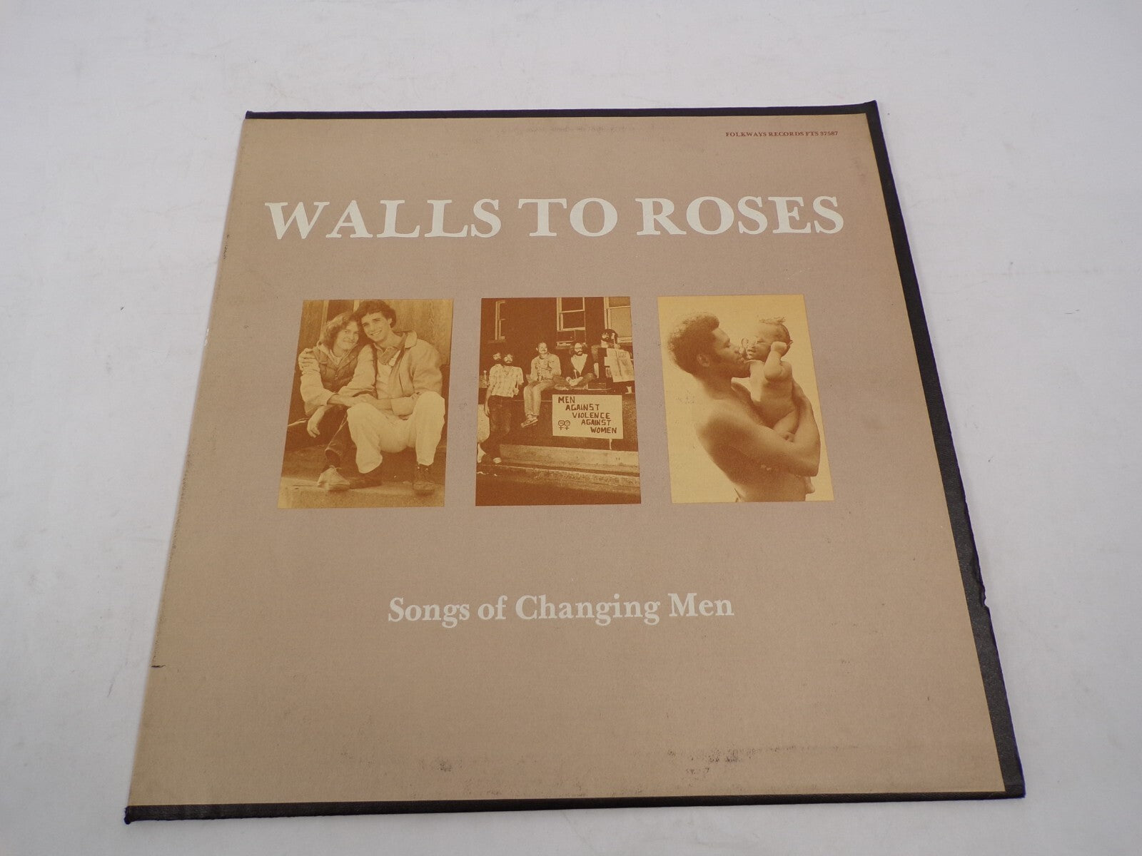 Walls To Roses Songs of Changing Men Gay Spirit Brothers Vinyl Records