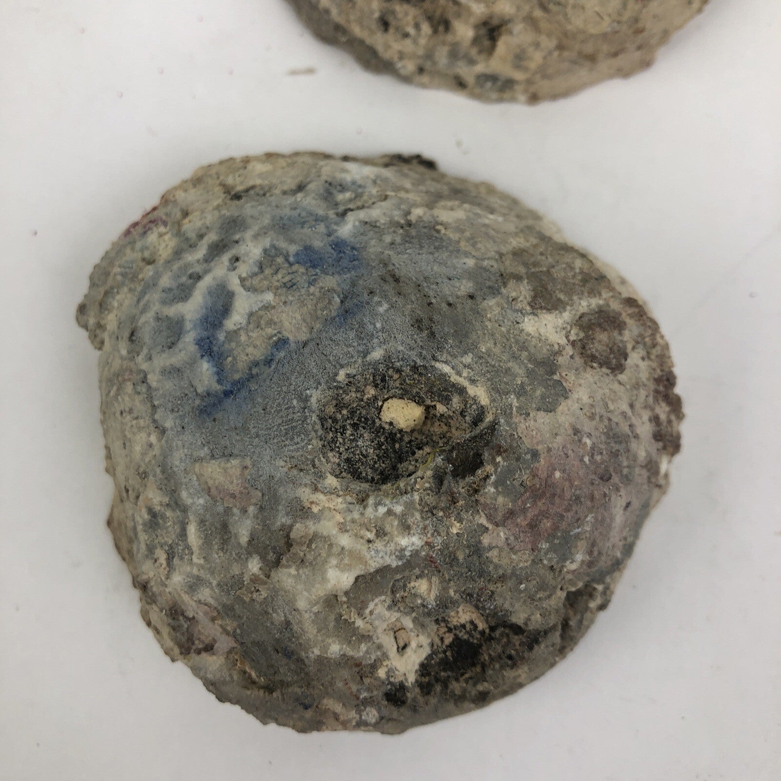Whole COCONUT GEODE Cut Clear QUARTZ IT SPARKELS GREAT GIFT Each 1.5” X 3” Each