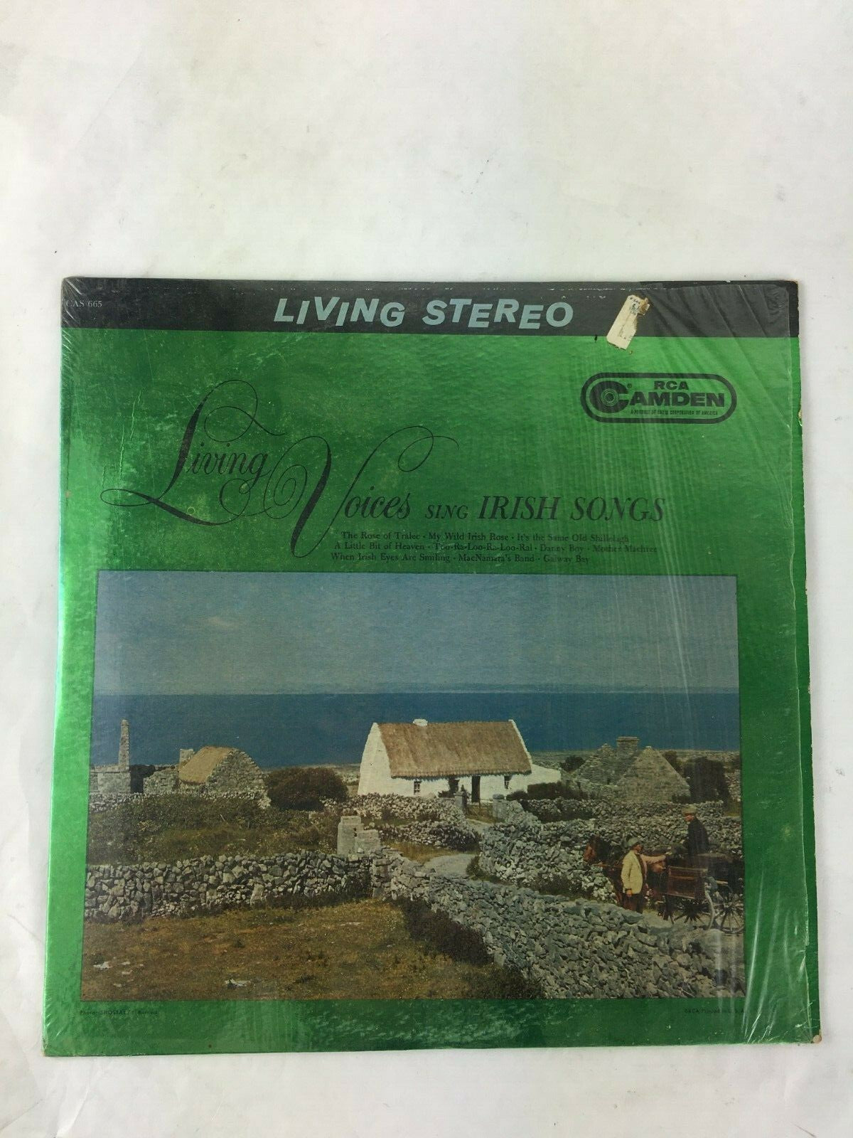Living Voice Sing IRISH SONGS