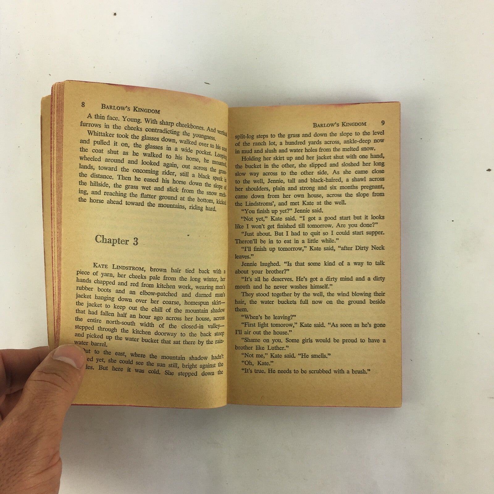A Western tale of lust and violence Barlow's Kingdom by John Redgate