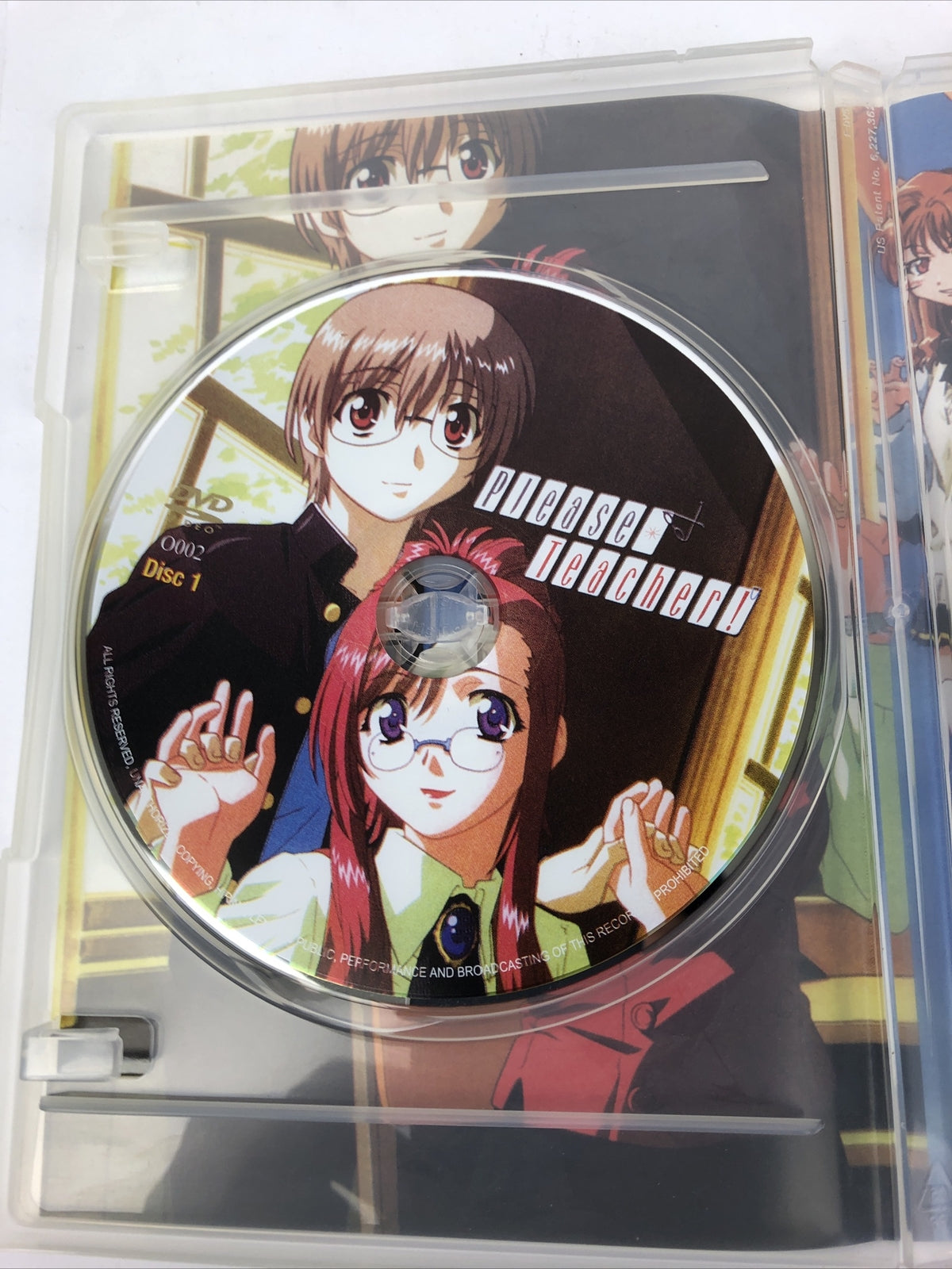 " Please Teacher " ( DVD Video ) Japan Animation Anime Collection - MINT DISCS
