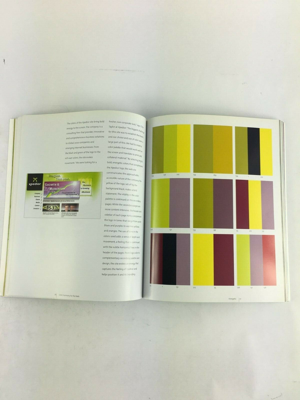 Color Harmony for the Web Creating Great Color Schemes On-Line Cailin Boyle