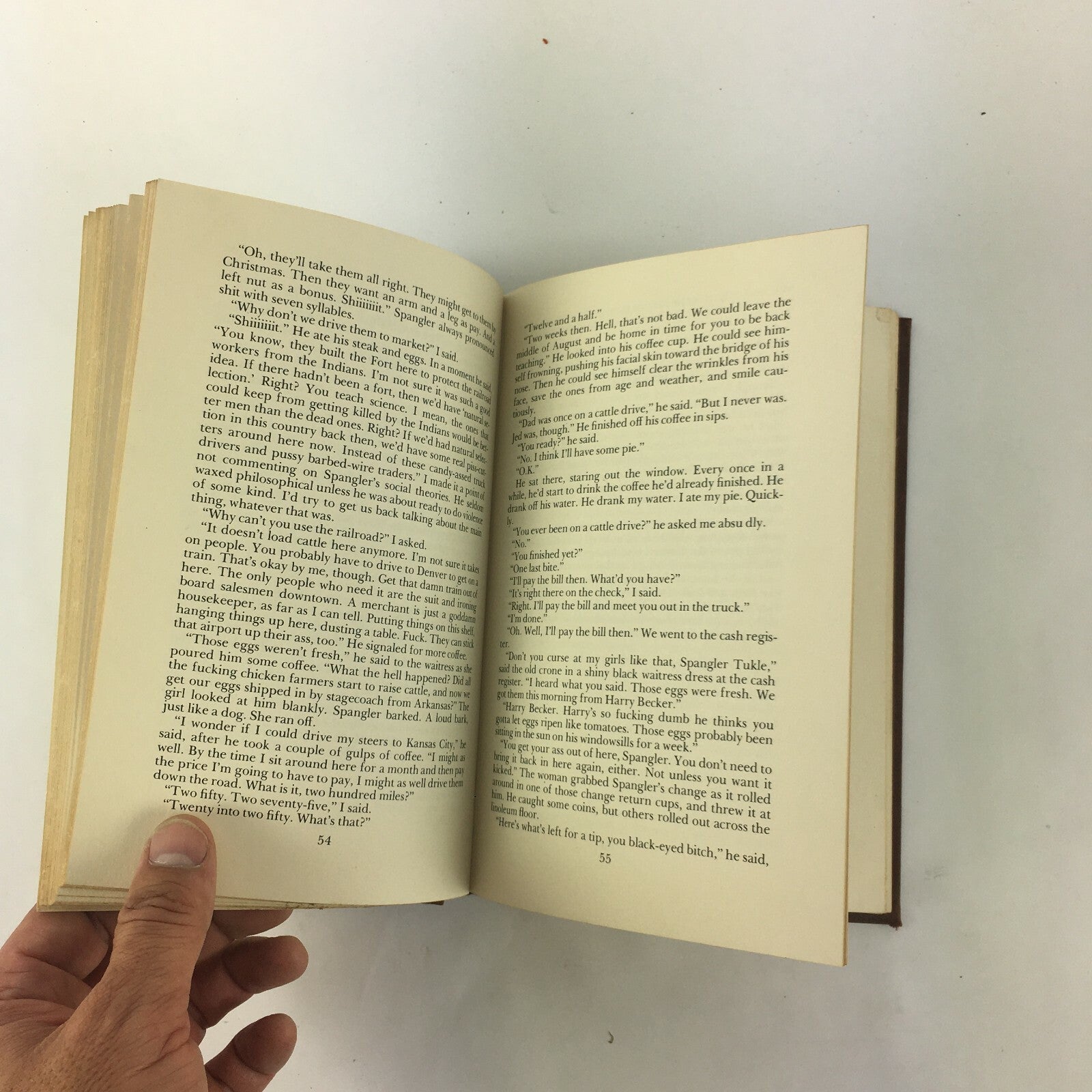 The Last Cattle Drive a novel by Robert Day