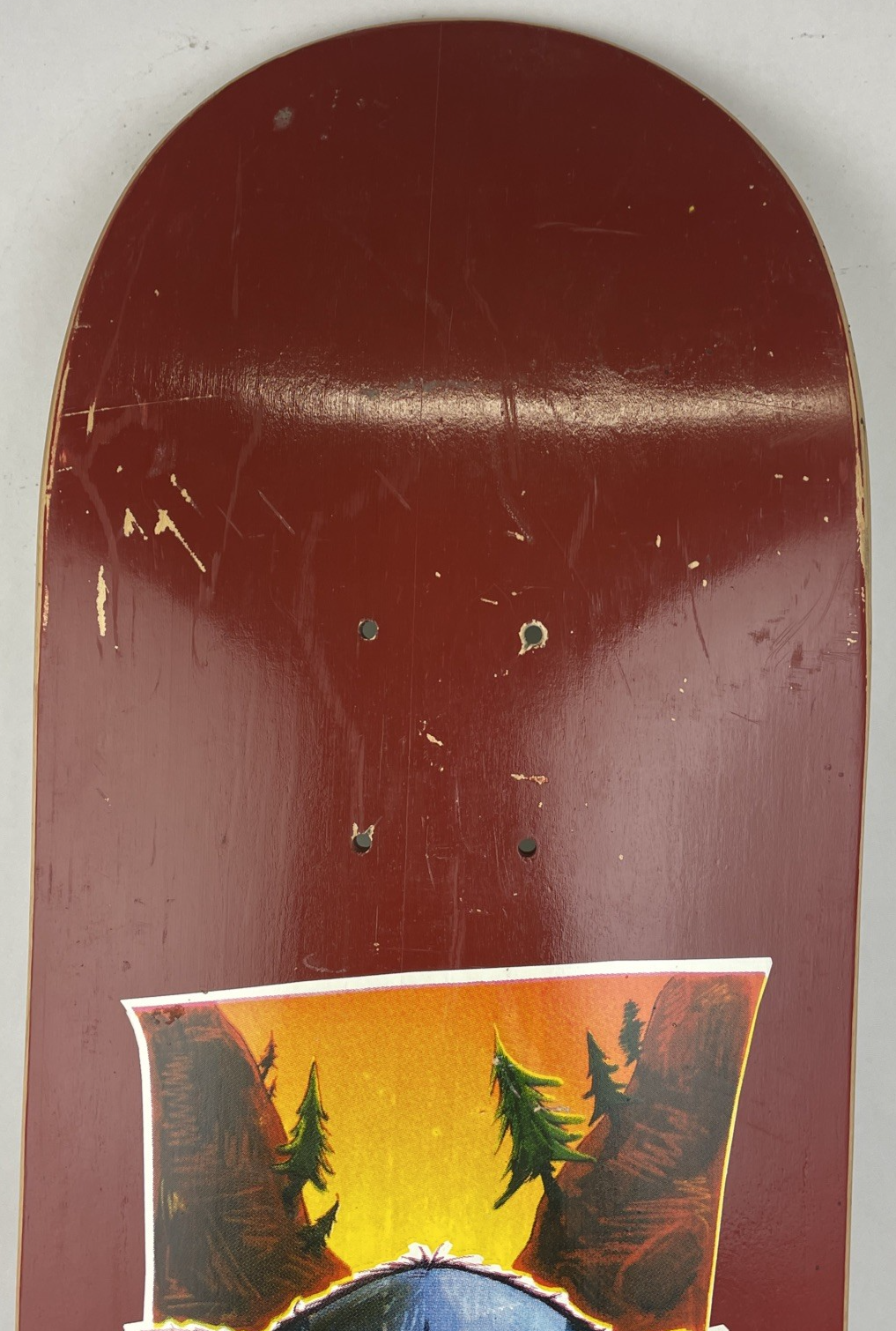 Woodchuck Laminates Circa 1996 Timer Bear Skateboard Deck 8.375" x 31.5 VINTAGE