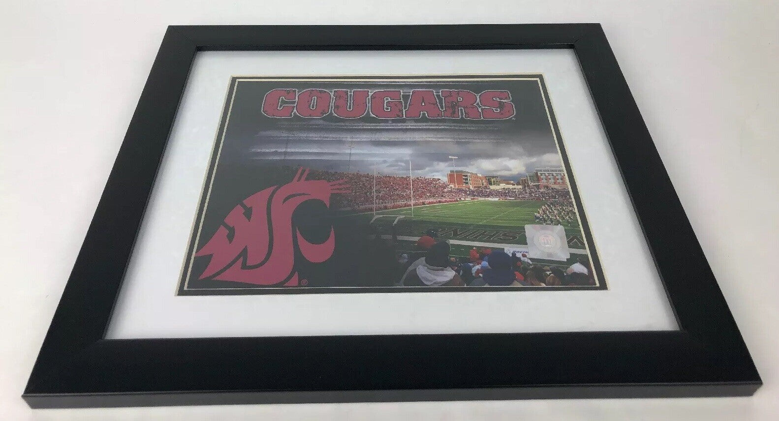 WC Washington Cougars Officially Licensed Framed Matted Stadium Photo Picture