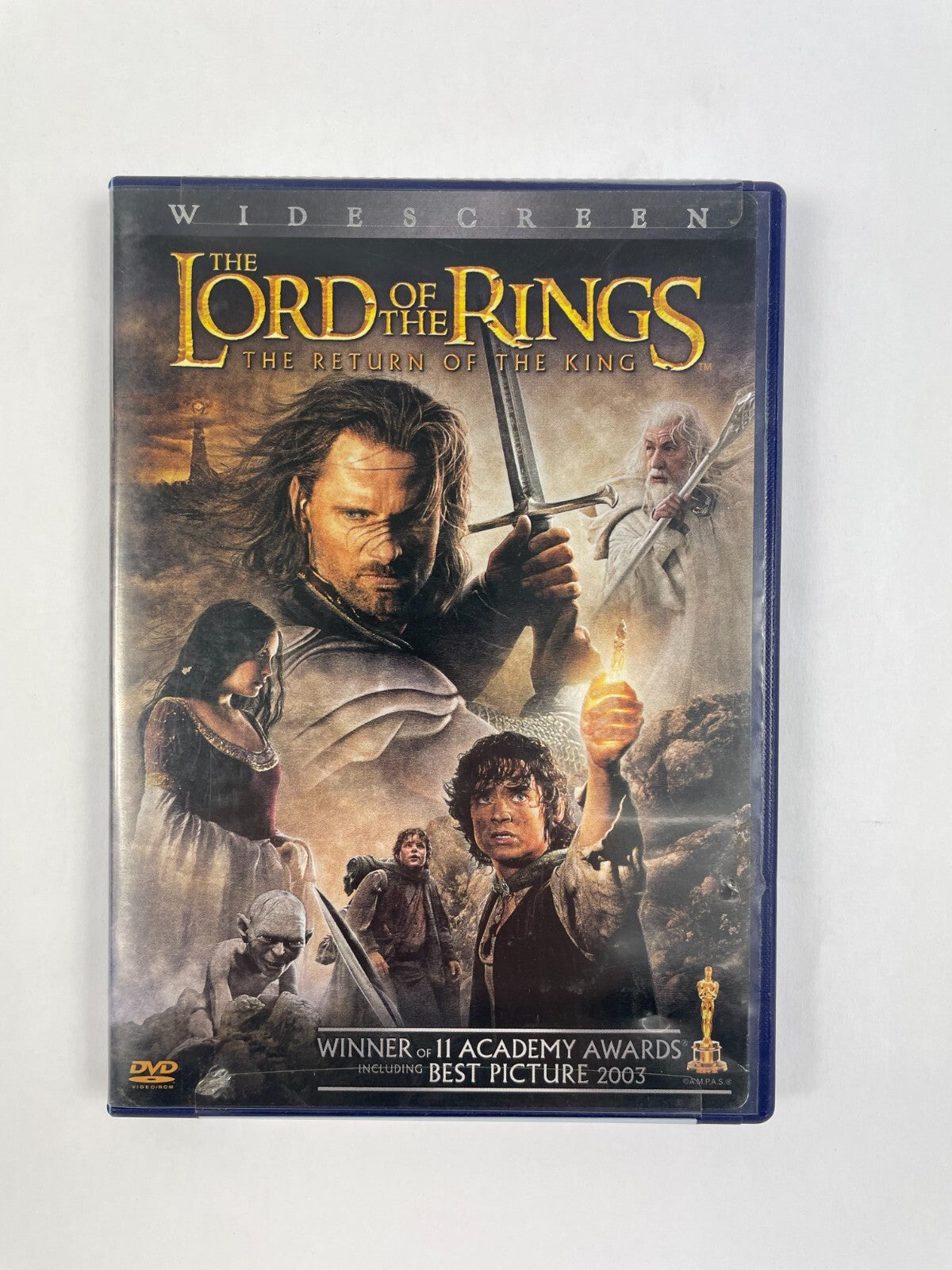 The Lord Of The Rings The Return Of The King Anne Lennoy Jan Folm DVD Movie