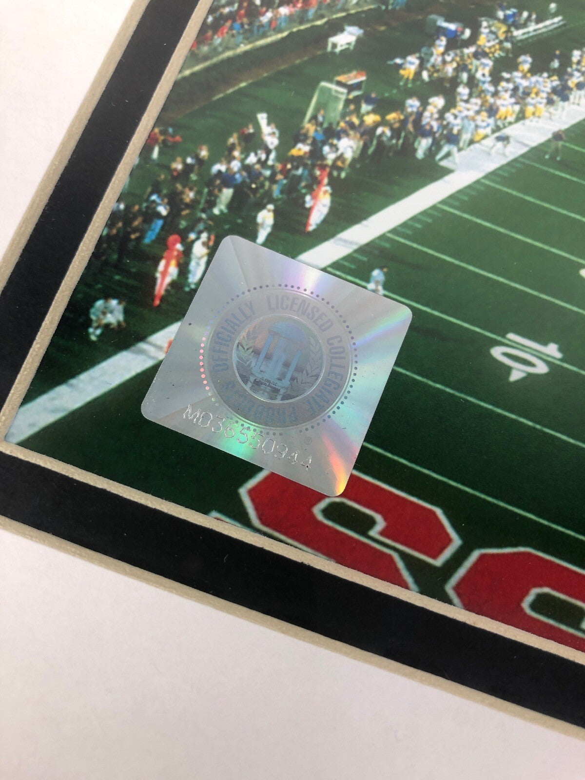 OLE MISS REBELS Licensed Framed & Matted 8”x10” CELEBRATION Photo Print Football