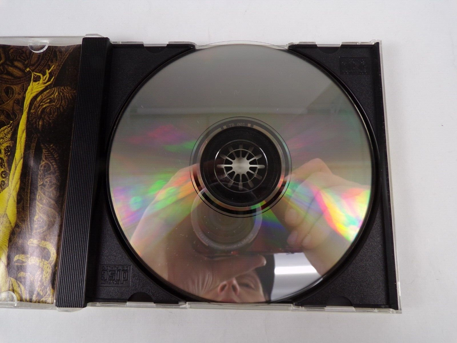 Growing Slowly Insane CD #26