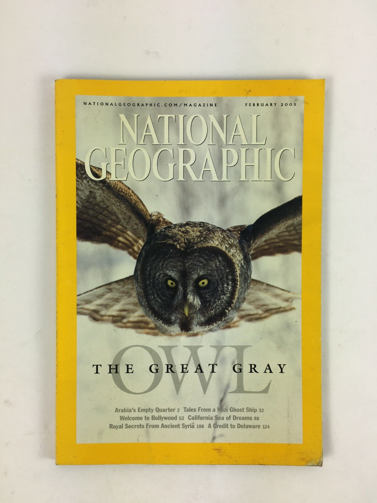 February 2005 National Geographic Magazine The Great Gray OWL California Sea