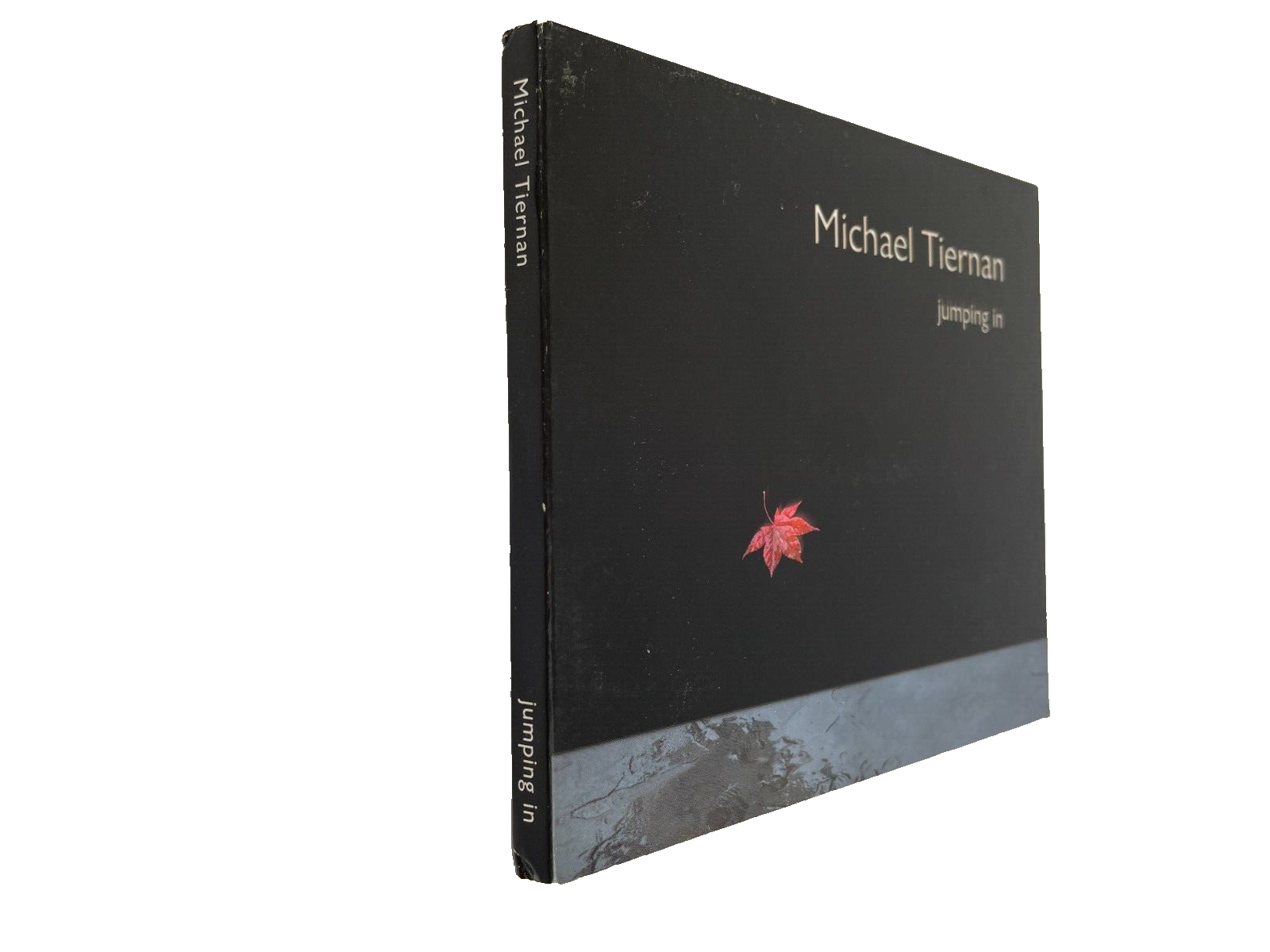 Michael Tiernan Jumping In Swim Slow Down Child O Your Floor Jumping In #S-T