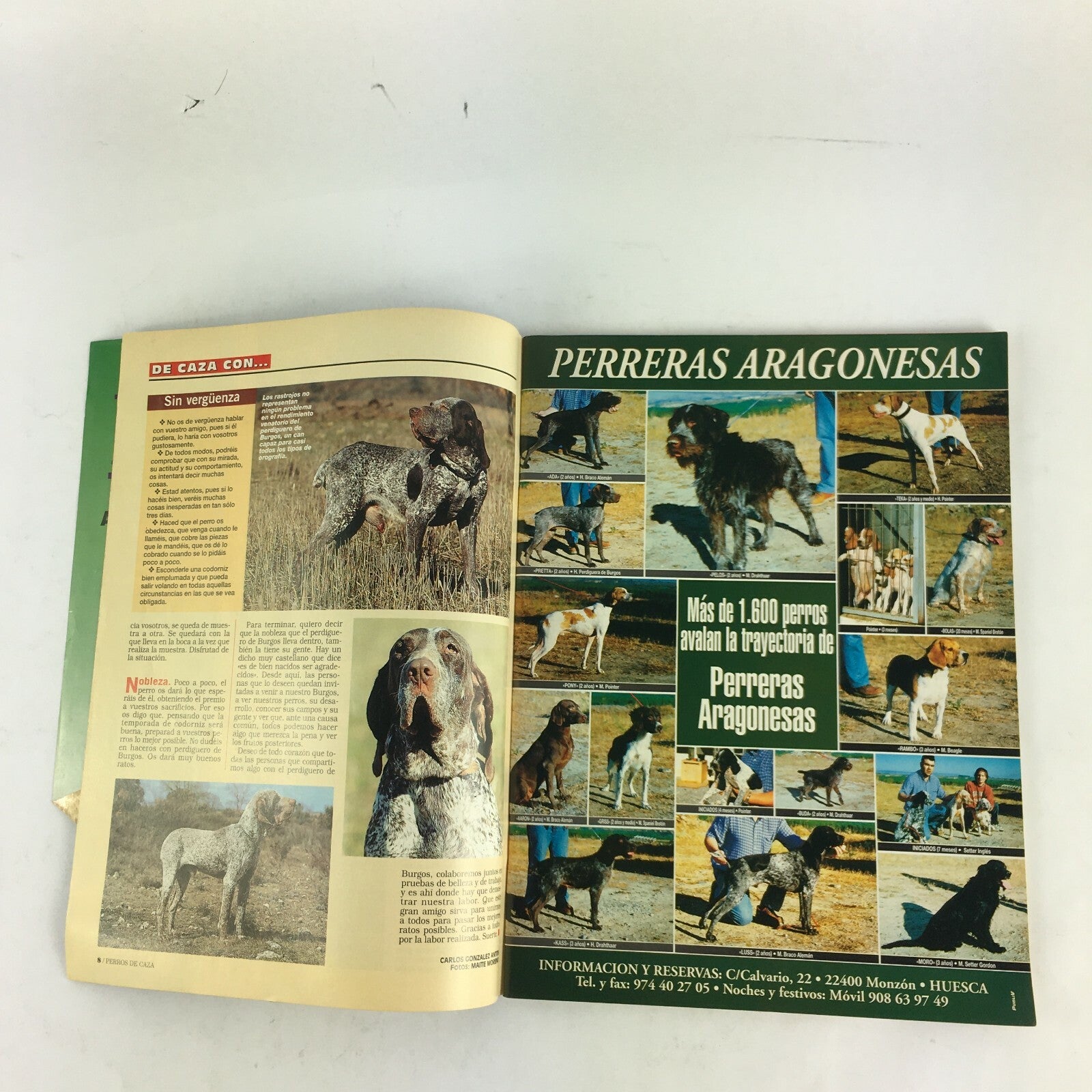Agosto 1998 Perros Magazine Escopeta y Perdiguero un buen equipo Retrato del