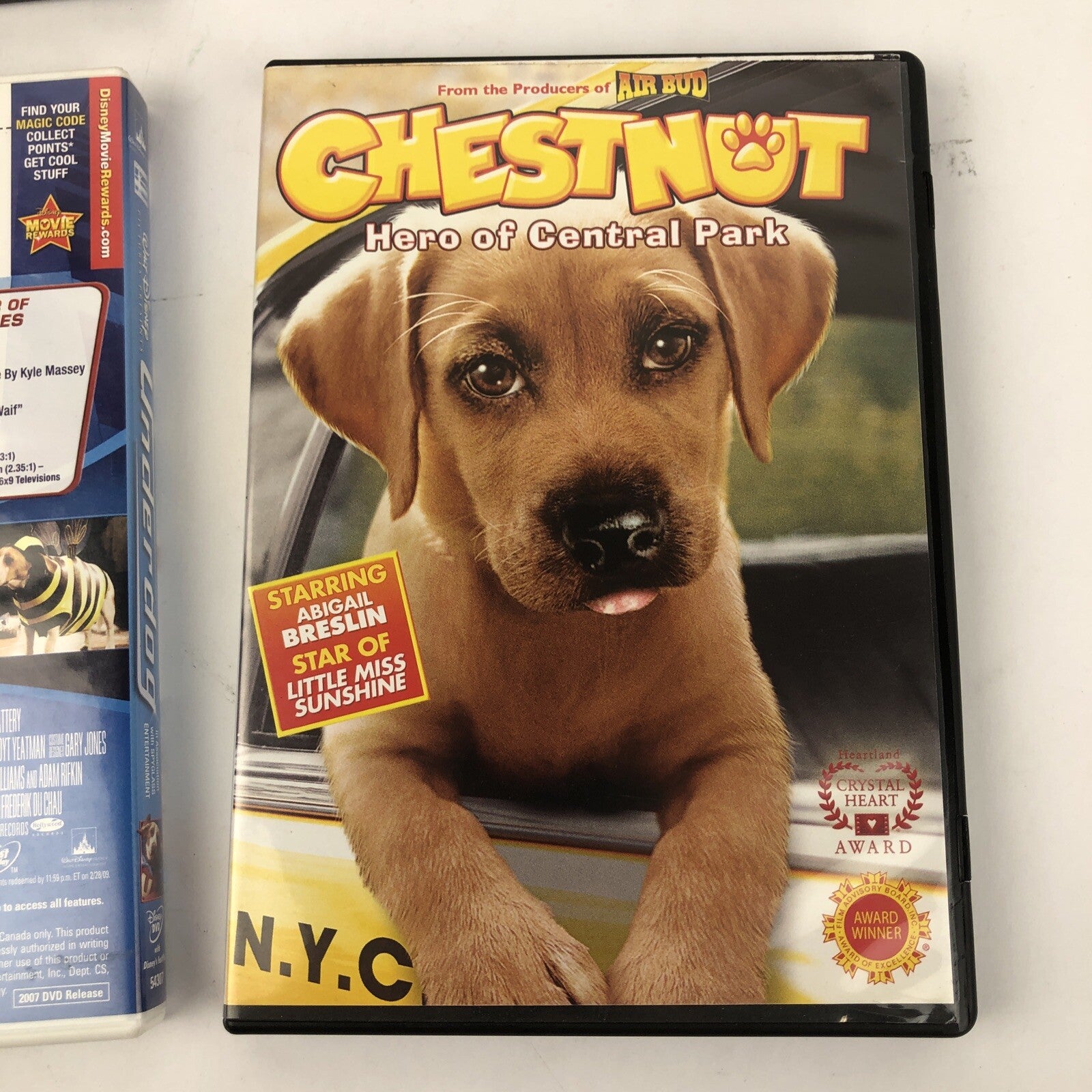 Dog Lovers Movie 4 DVD Lot: Underdog, Chestnut, Hotel For Dogs, Fox & Hound 2