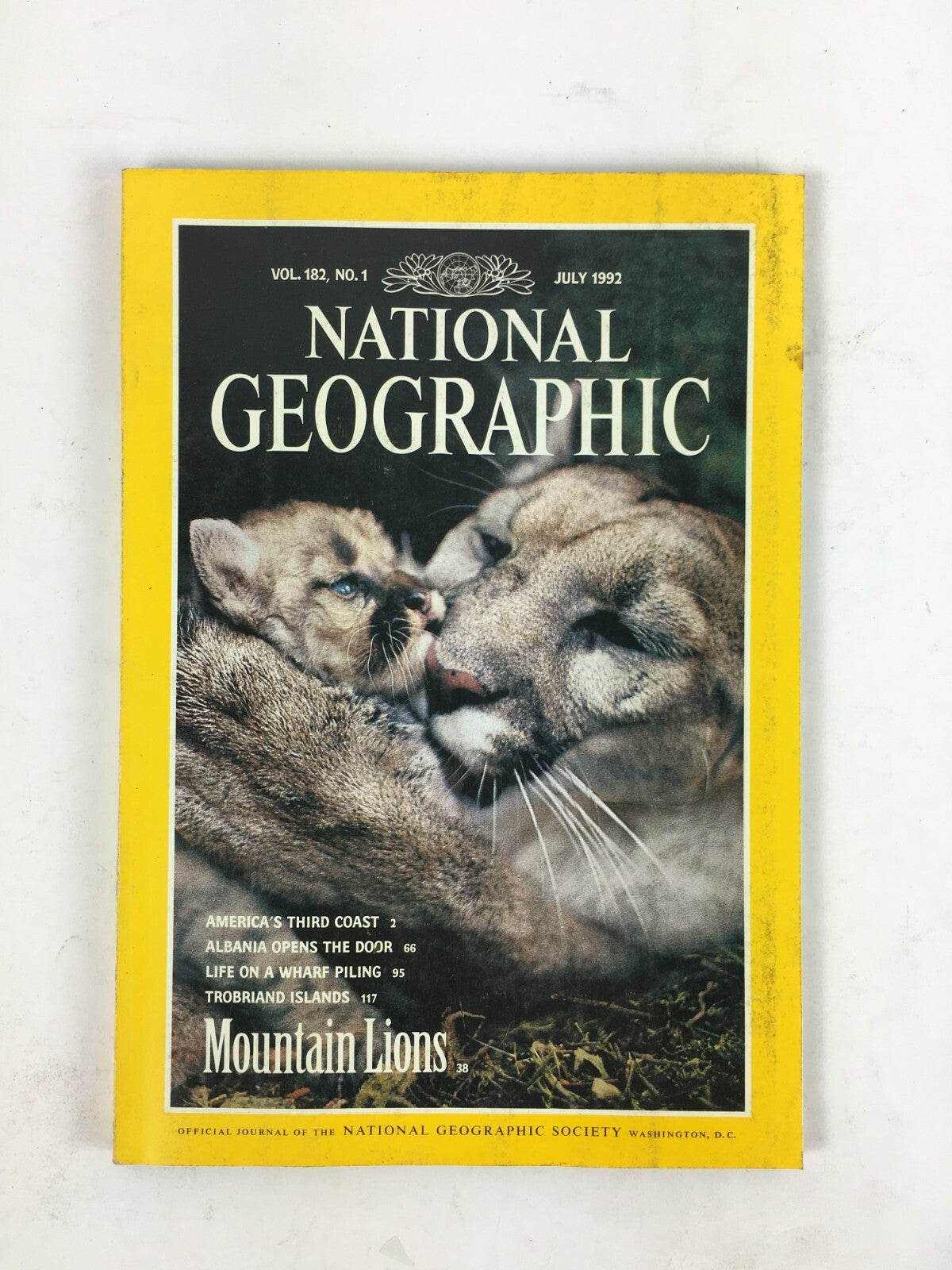 July 1992 National Geographic Magazine Mountain Lions Americs Third Coast