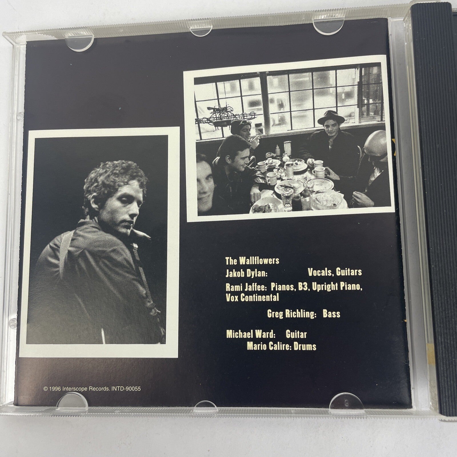 2 x The Wallflowers Audio CD, Red Letter Days, 2002 - Bringing Down The House