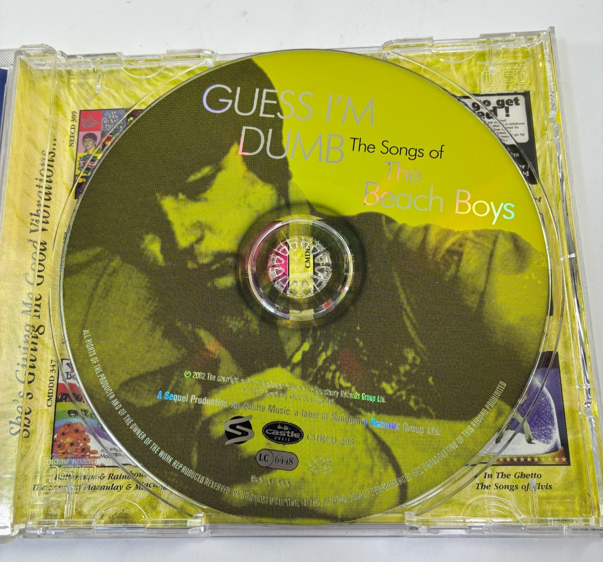 Various Guess I'm Dumb Songs Of Beach Boys Castle CD 2002