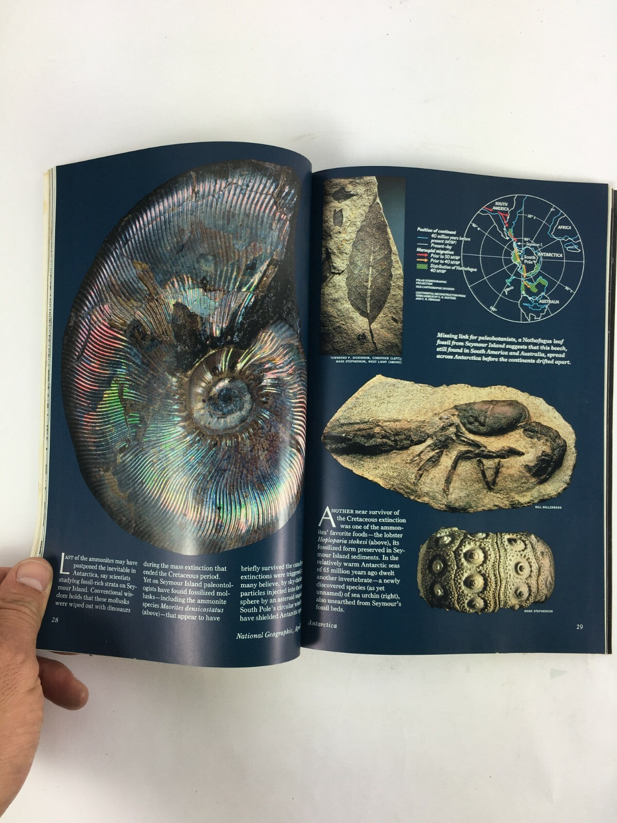 April 1990 National Geographic Magazine A Personal Vision of Vanishing Wildlife