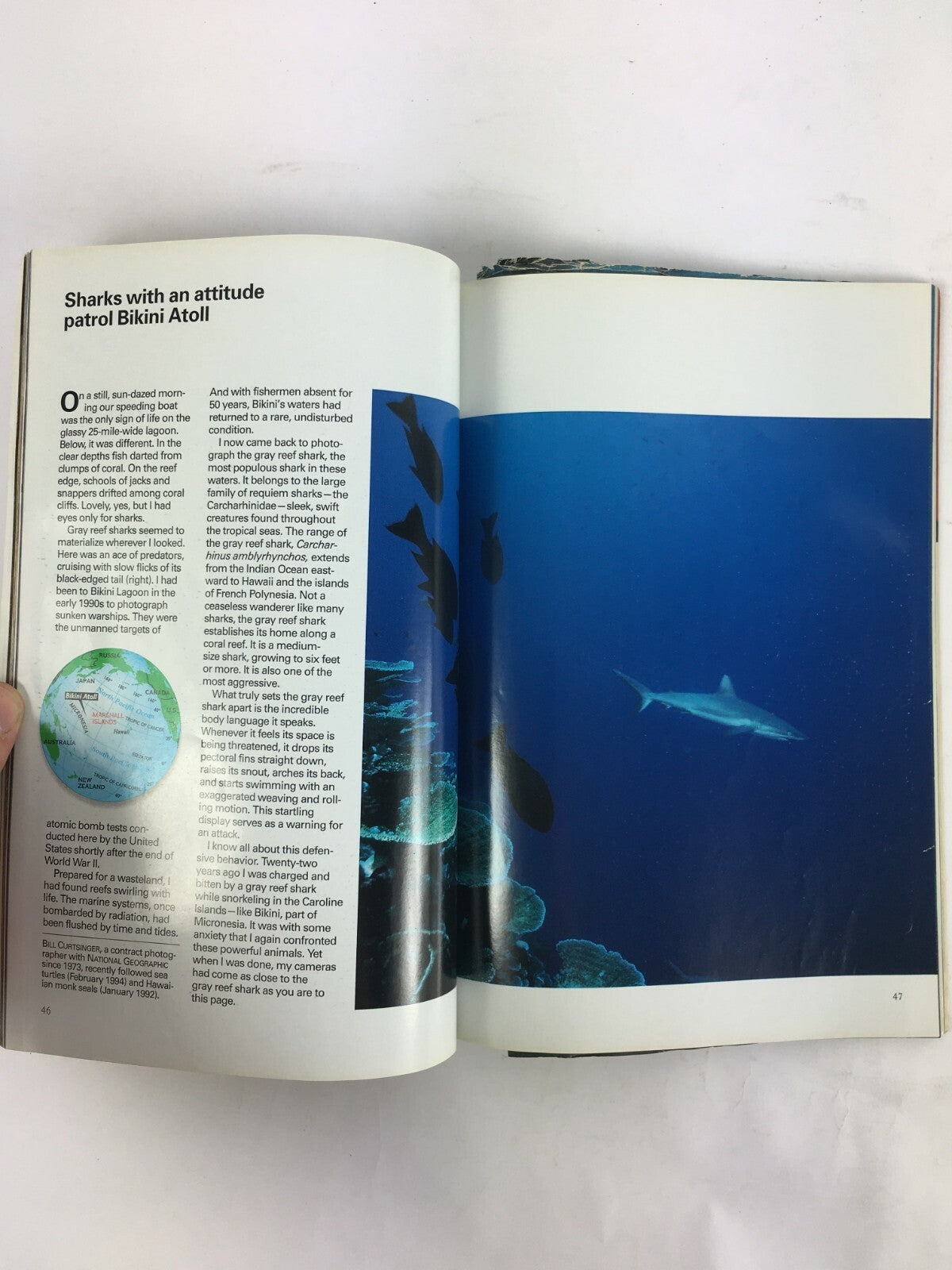 January 1995 National Geographic Magazine Gray Reef Sharks New Orleans TheArctic