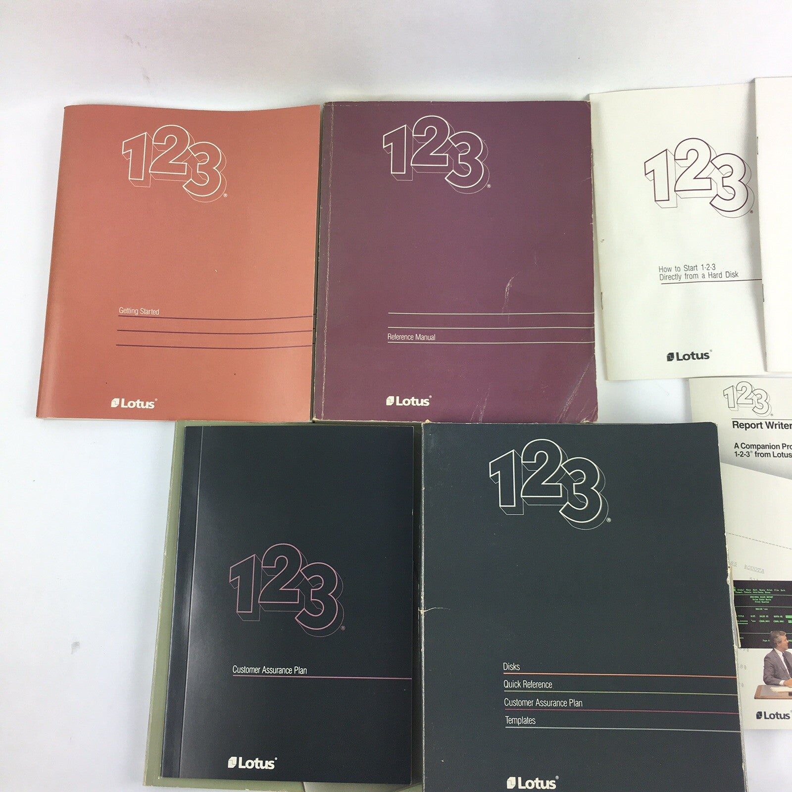 Vintage Lotus 123 Release 2.01 5.25" Disk Version