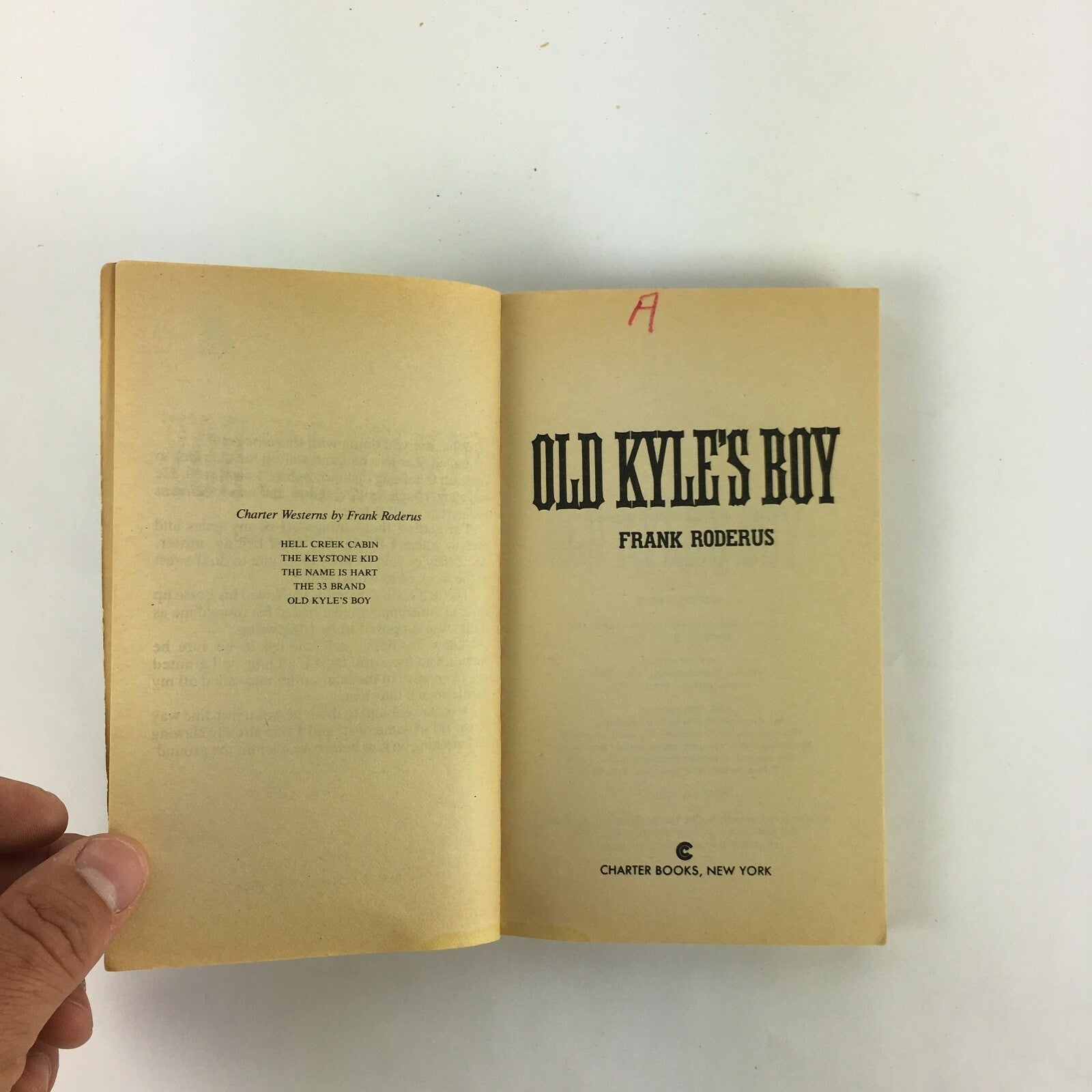 Old Kyle's Boy Frank Roderus