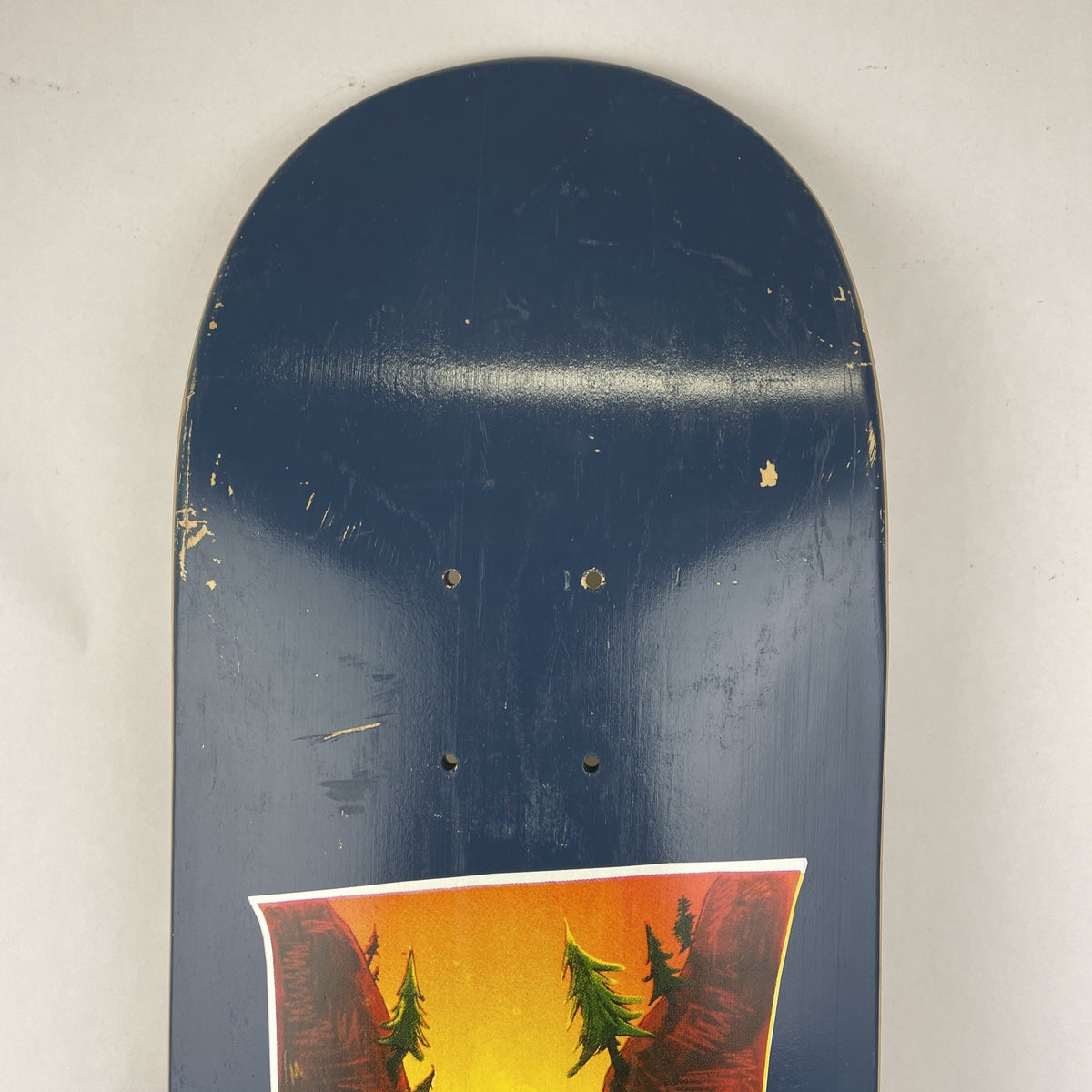 Vintage Woodchuck Laminates Circa 1996 Timer Bear Skateboard Deck 8.375" x 31.5