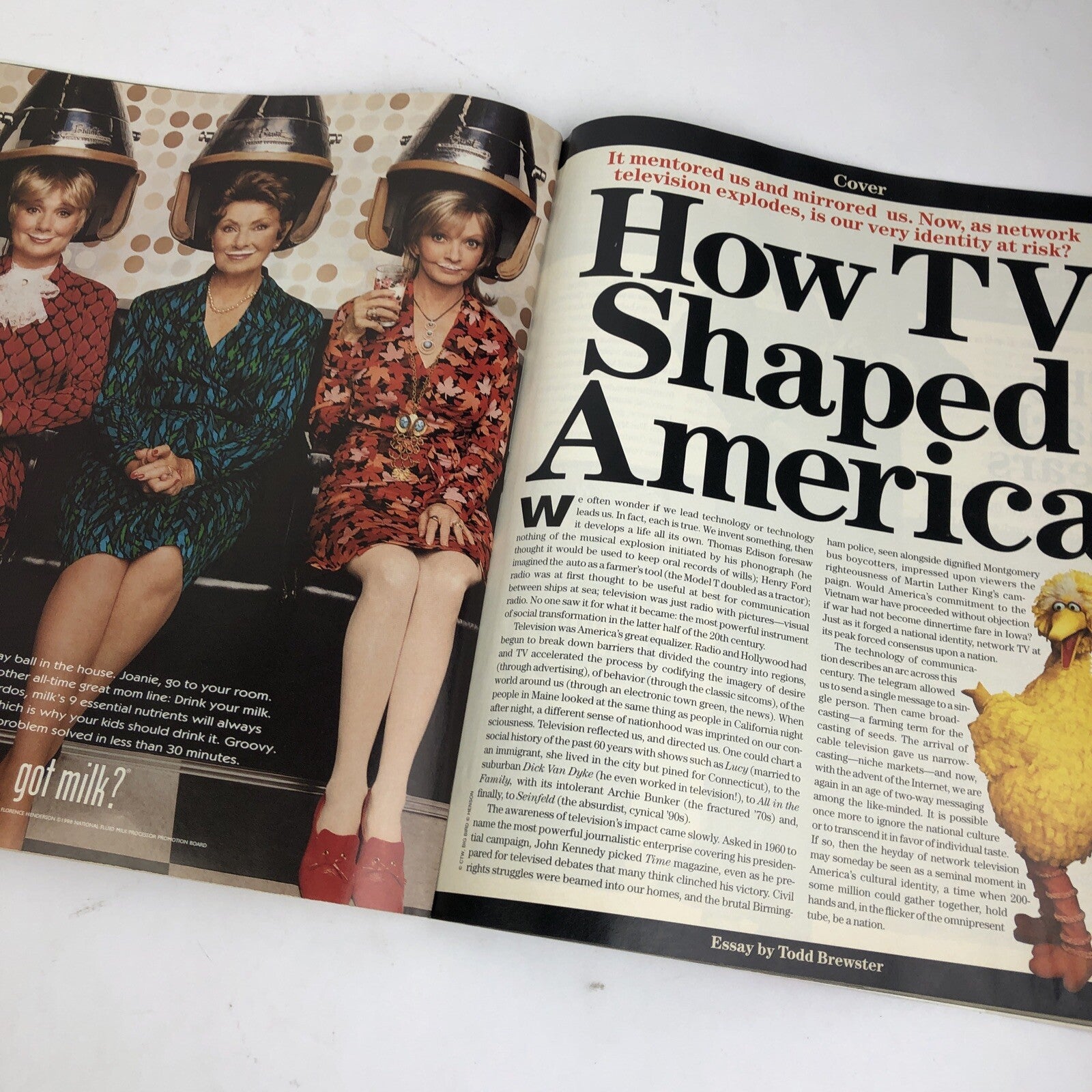 April 1999 LIFE Magazine I LOVE LUCY The Simpsons - Shows that Changed America