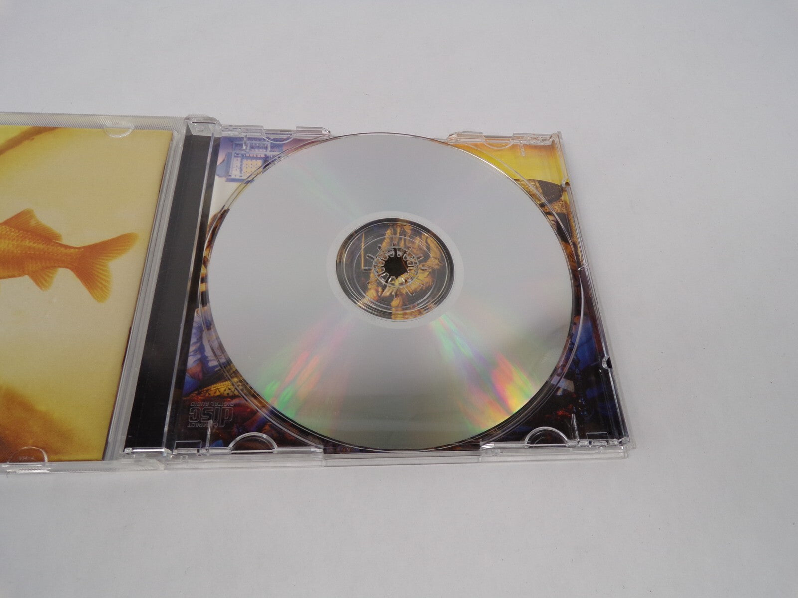 Counting Crows This Desert Life Potters Lullaby Four Days High Life Color CD#63