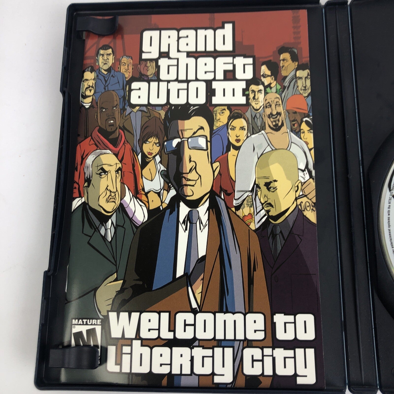 Grand Theft Auto III + GTA Vice City PS2 PlayStation 2 Includes 1 Manual - LOOK