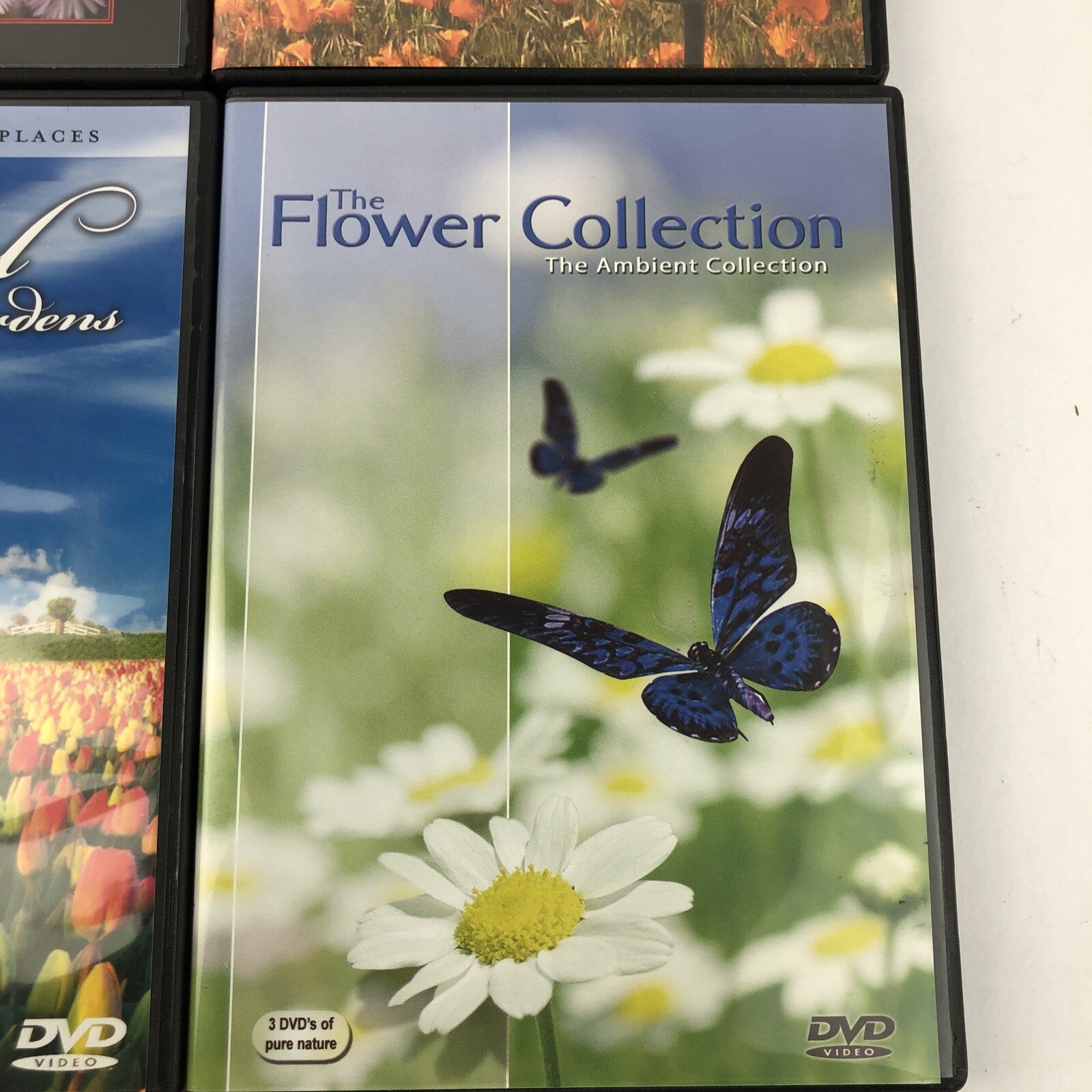 4 X Beautiful Flowers & Gardens Collection DVD Lot Sand Blossoms Wild Flowers