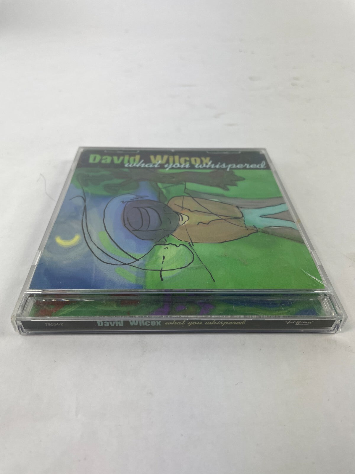 David Wilcox What You Whispered What You Whispered The Traffic Deeper StillCD#73