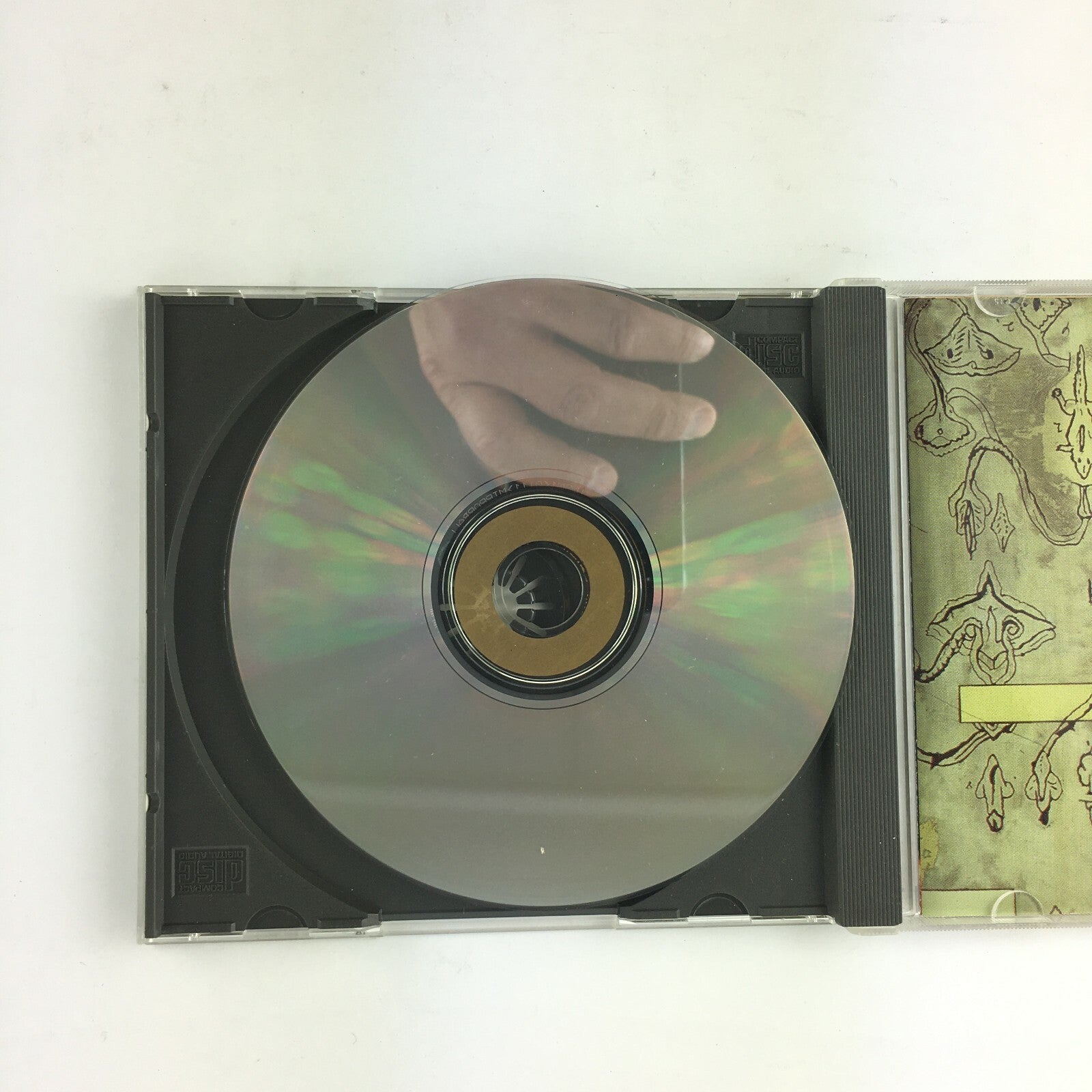 CD 1993 Sarah McLachlan Fumbling towards ecstasy Possession Wait Plentry Mary