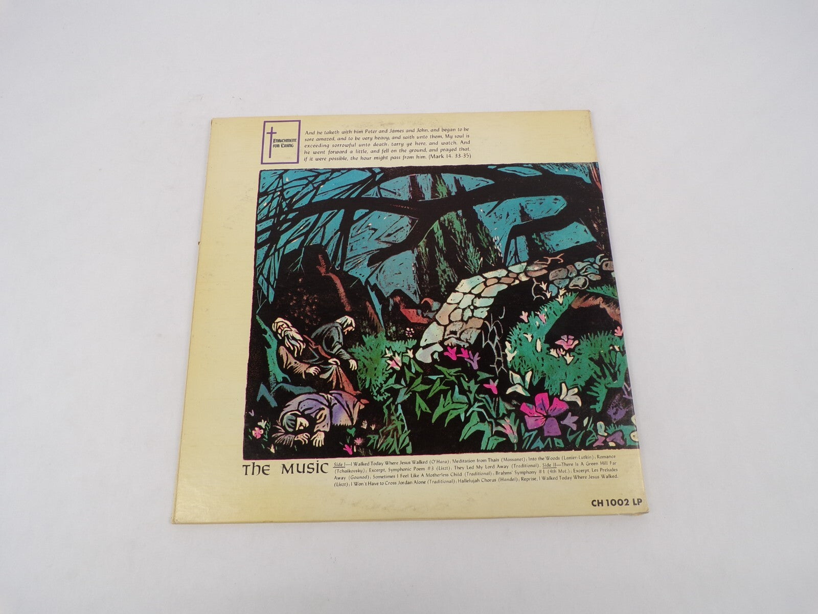 The Greatest 72 Hours Into The Woods Romance Symphonic Poem Vinyl Record