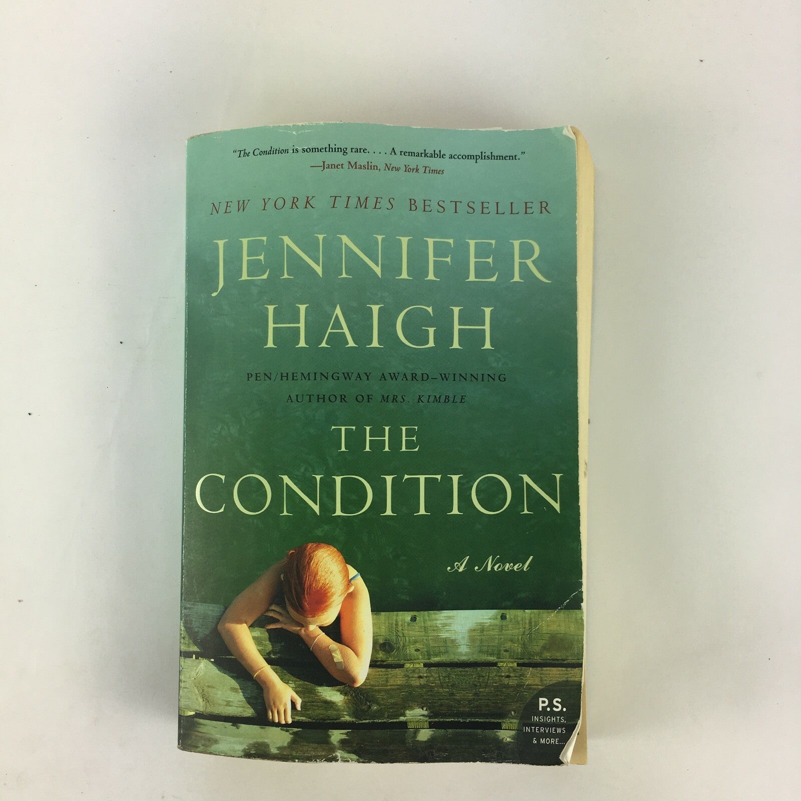 Janet Maslin Jennifer Haigh The Condition